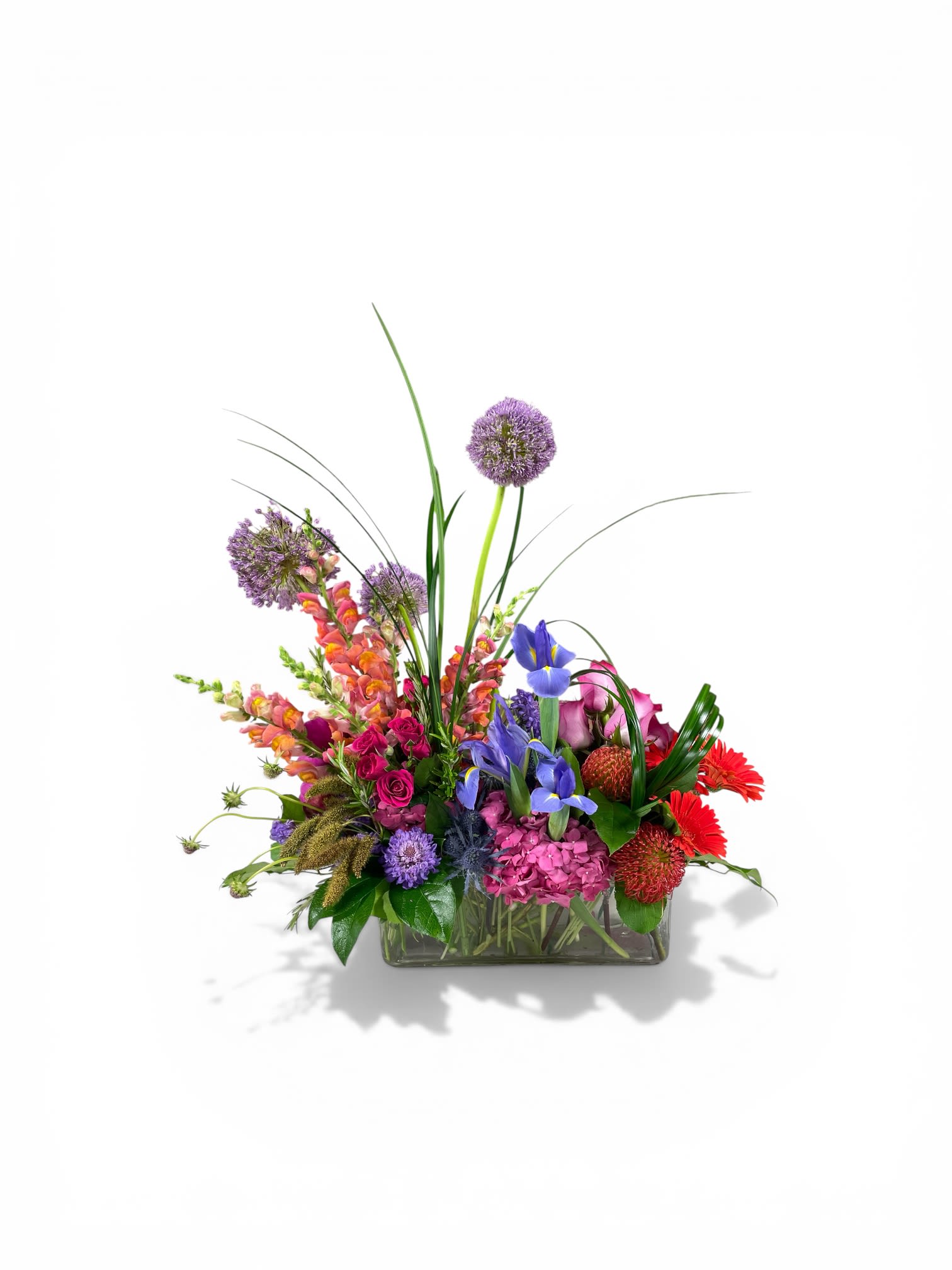 Marybeth’s Garden Day Dream - Tall purple allium-like blooms and sculptural grasses crown a low, elongated bouquet that reads like a joyful garden painting - perfect as a birthday bouquet, Mother's Day gift, or bright "thinking of you" arrangement. This flower arrangement for Easter and springtime celebrations also works year-round for graduations, housewarmings, anniversaries, or simply to say congratulations; the recipient will feel genuinely celebrated by its vivid, playful energy.  Dense clusters of bright pink roses, purple hydrangea, orange snapdragons, blue iris, red gerbera daisies, pincushion protea, and small lavender asters are arranged in a clear rectangular glass vase for a modern, sculptural look. The mix of textures - from the soft hydrangea to the architectural alliums and linear grasses - creates movement and visual interest across a broad palette of red, pink, purple, white, yellow, peach, green, blue, and orange tones. Sized as a low, elongated centerpiece, it fits perfectly on dining tables, reception desks, or mantelpieces; water daily and trim stems as needed to keep blooms fresh for celebratory occasions like graduations, birthdays, weddings, or a heartfelt "I'm sorry" and get-well brightener.