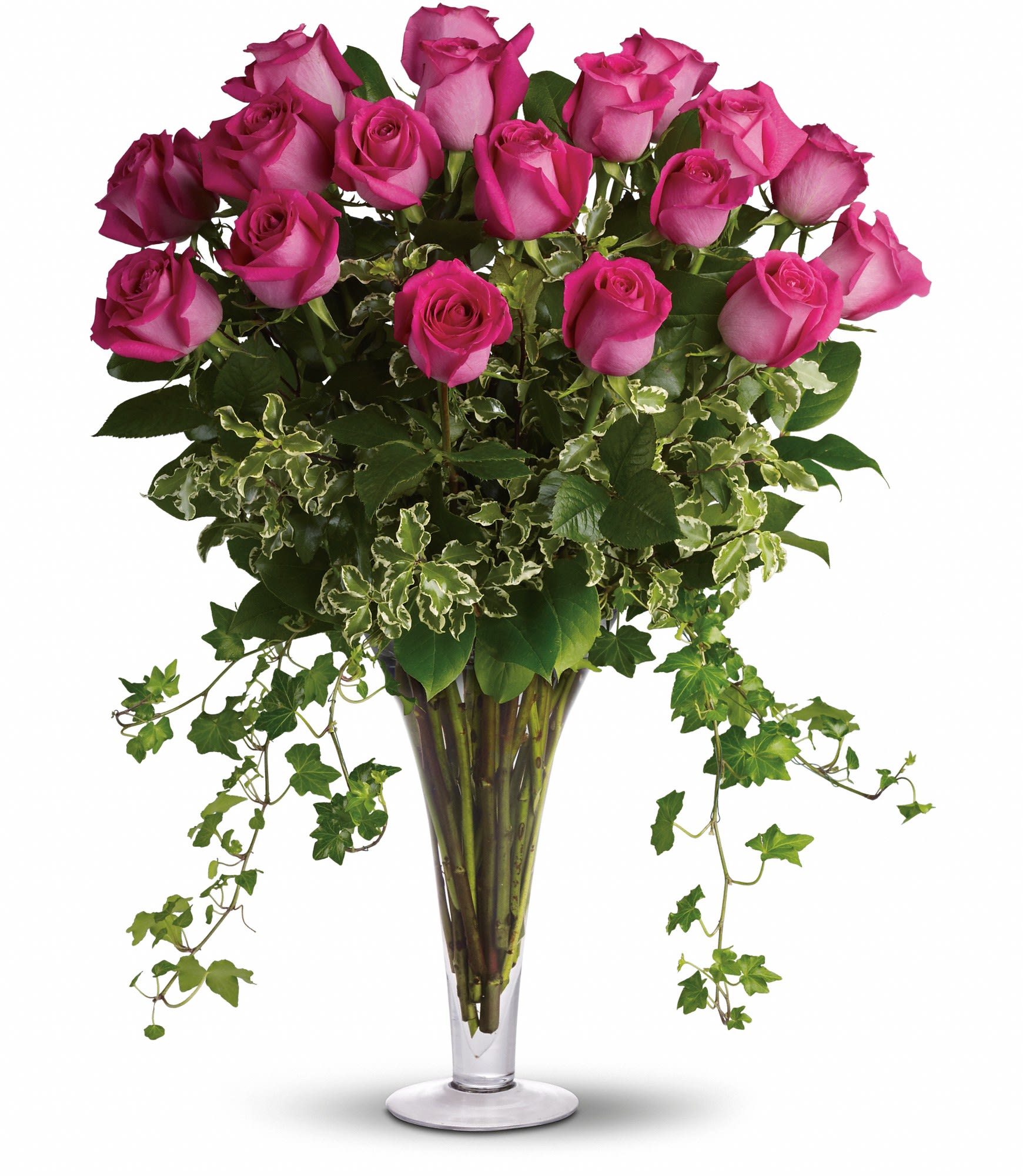 Dreaming in Pink - 18 Long Stemmed Pink Roses - Women really appreciate it when their guys think outside of the box. There's nothing like hot pink roses to prove that you're using your imagination and aren't afraid to let her know. T62-1A