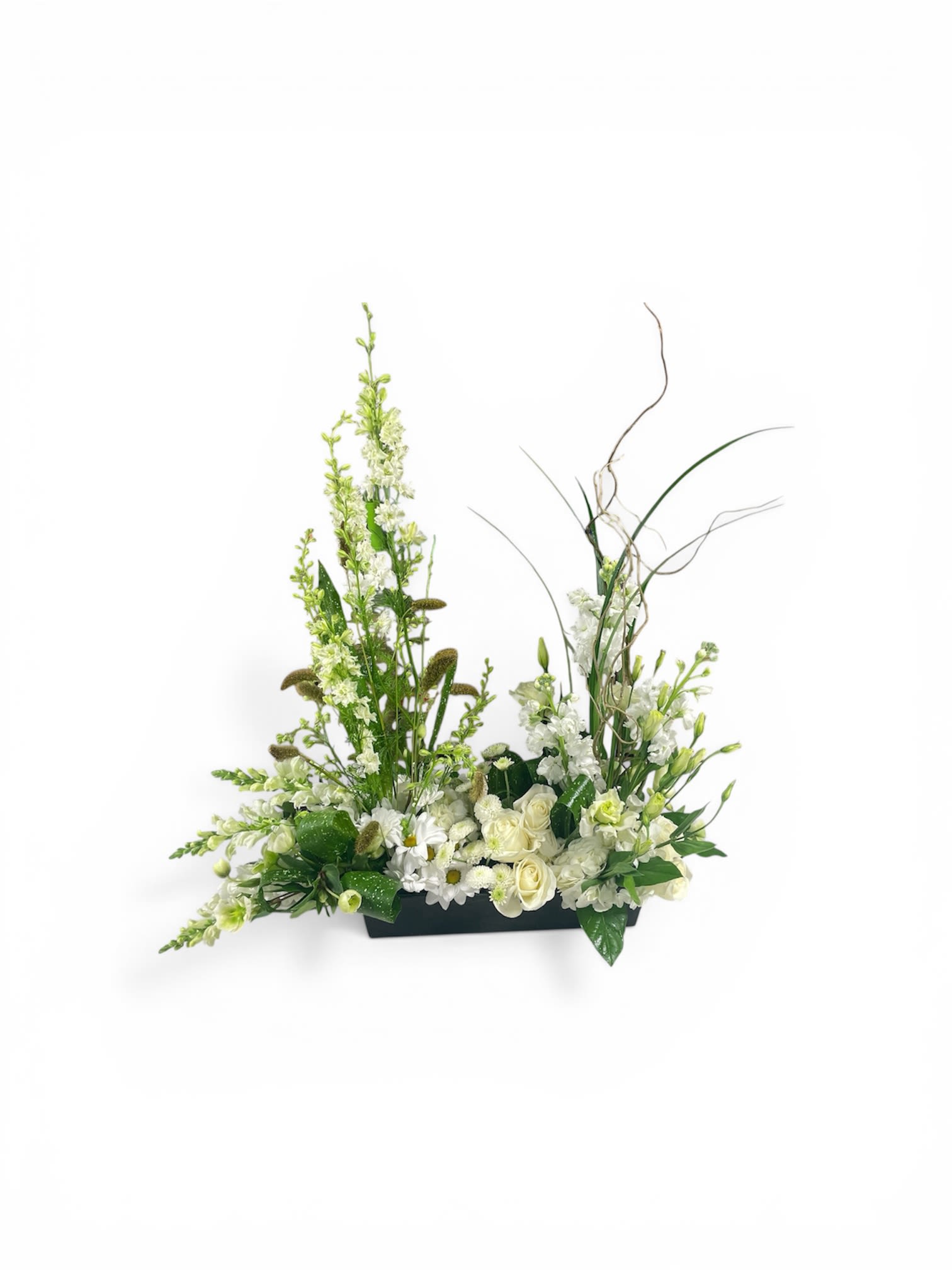 Petal Perfection’s Eternal Grace - A serene, contemporary centerpiece that reads as both refined sympathy arrangement and an elegant gift for Mother's Day, an anniversary, or a thoughtful get well bouquet. This low rectangular black container holds a densely clustered cushion of white roses, spray roses, daisies, hydrangea, and stock, while taller snapdragons, stock stems, and sculptural greenery rise at the sides to create an airy, asymmetrical silhouette. The white-and-green palette feels calm and timeless-perfect for Easter, weddings, memorials, or simply to bring quiet beauty to a dining table or office console.  The mix of soft round blooms and linear green accents gives pleasing contrast in texture: lush hydrangea and roses at the base, delicate daisy centers for brightness, and taller snapdragons and curly grasses that add movement and modern height. Arranged in a sleek black rectangular vessel, the piece measures to suit tabletops and reception desks and reads well in minimalist or formal settings. It's the kind of floral gift that makes the person you're thinking of feel genuinely seen-appropriate for birthdays, sympathy, housewarmings, thank-you gestures, graduations, or "just because" moments. For care, keep water fresh and in bright, indirect light to extend the life of the flowers.