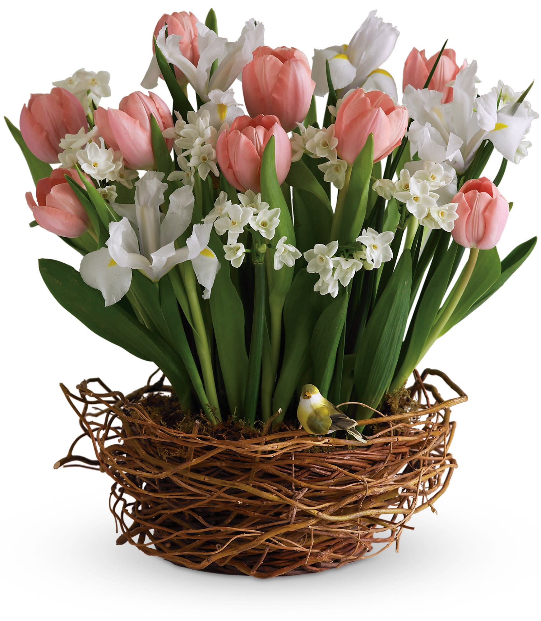 Tulips Song - As if a beautiful spring bouquet arranged in a nest-like woven basket wasn't cause enough for celebration, this arrangement has even more! A beautiful yellow bird rests among its blossoms.   Stunning pink tulips, brilliant yellow iris and dazzling white narcissus are perfectly placed to look like they are blossoming from their "nest." Add the sweet little bird and it is definitely the right time to sing a song of spring! Approximately 16" W x 17" H 