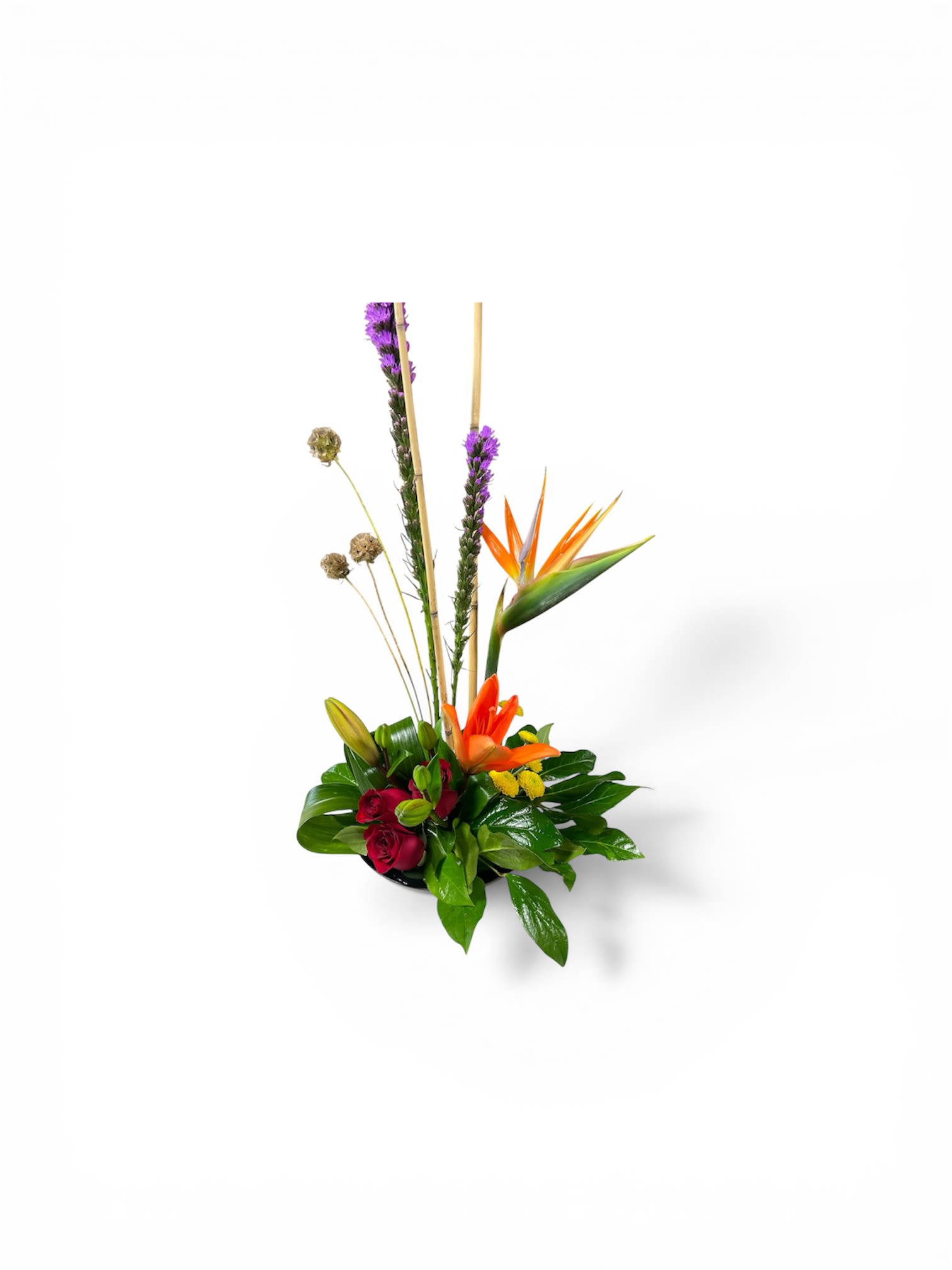Petal Perfection’s Tropical Delight - A bold vertical statement that brings tropical energy to any celebration, this flower arrangement is perfect as a Mother's Day bouquet, a birthday surprise, or a vibrant housewarming gift. The design pairs tall purple flower spikes and slender decorative sticks with a vivid bird of paradise and an orange lily for a striking focal line, while deep red roses tucked low add warm romantic depth-ideal for anniversaries, Valentine's Day, or to say "Thinking of You" with flair.  Set in a sleek black ceramic bowl, glossy dark green foliage forms a dense, rounded base that anchors the composition and lets the bright reds, oranges, yellows, purples, and touches of blue pop against the container. The arrangement's compact footprint makes it easy to place on tabletops or entry consoles; the tall vertical elements give it gallery-like presence without overwhelming a space.  Send this as a cheerful get-well bouquet, a festive addition for Easter or summer gatherings, or "just because" to make someone feel truly seen-the person receiving it will notice the artistry and bold color. Care is simple: keep water fresh, trim stems as needed, and display away from direct heat to extend the life of the tropical blooms.