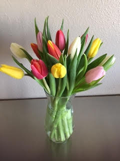 Juliette - Fresh multi colored tulips...just tulips- classic! Our tulips come to us straight from Holland throughout the spring season. Colors may vary.   