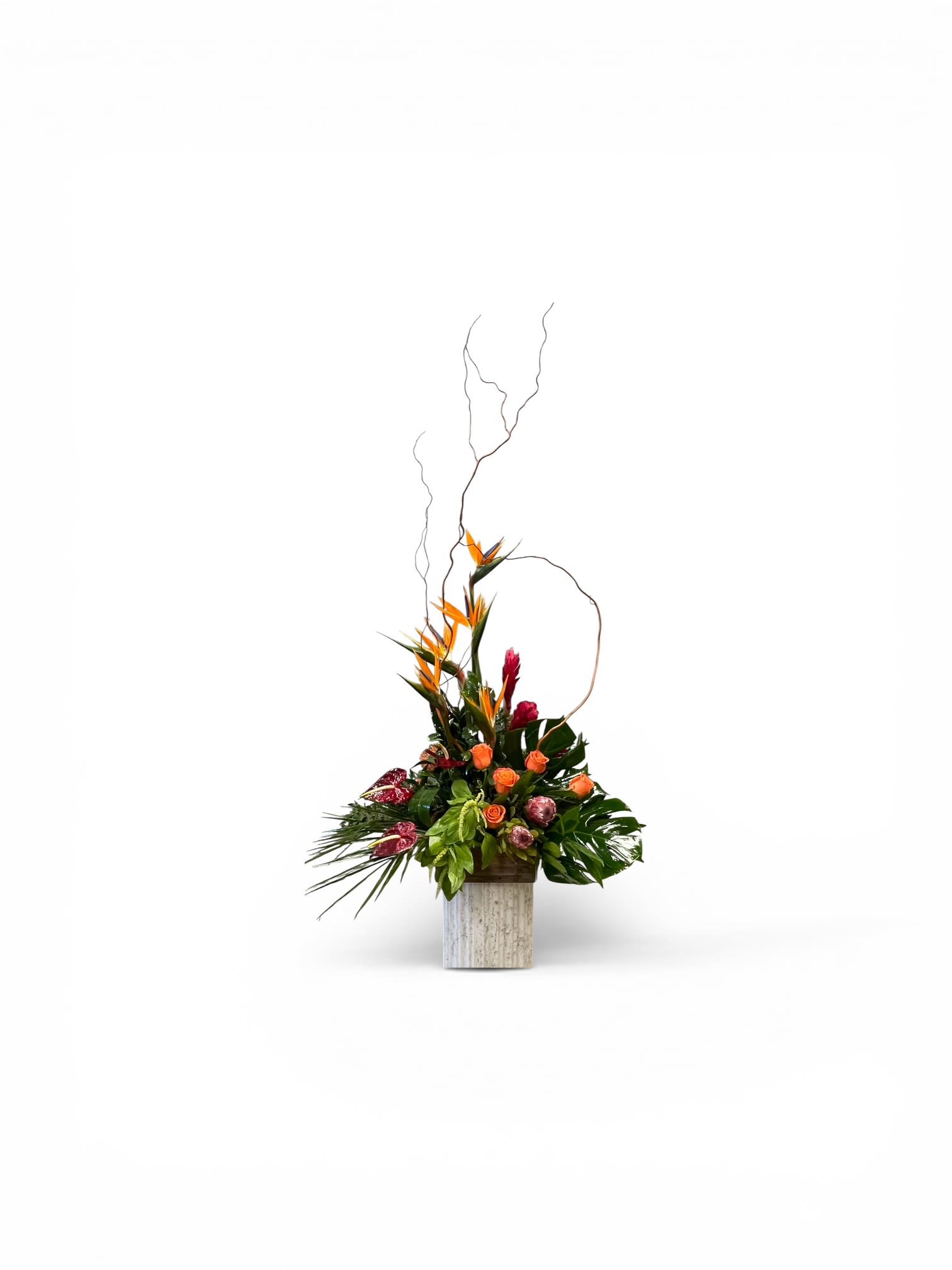Tropical Eruption  - Orange birds of paradise thrust upward in a dramatic, asymmetrical silhouette-the perfect focal point for a tropical flower arrangement made to celebrate Mother's Day, a bold birthday, or to brighten a modern home. This flower arrangement for special occasions like a summer wedding, anniversary, or Easter mixes tropical flair with romantic notes so the person you're thinking of will feel noticed and celebrated.  Nestled in a square stone-look container, the composition layers curly branches and tall vertical lines over clusters of orange roses, pink protea, and other tropical blooms. Glossy green foliage grounds the vivid palette of orange, pink, purple and yellow for an energetic, contemporary look that also reads as warm and thoughtful. The container's clean, architectural shape makes this piece suitable as a housewarming gift, office centerpiece for a retirement or promotion, or a striking sympathy arrangement when a brighter touch is desired.  Sized to command attention without overwhelming a table, the arrangement is designed for easy display and no-fuss care-keep it in fresh water, out of direct heat, and trim stems if needed to extend life. It's an ideal "just because" present, a confident expression of love and romance, and a festive choice for holidays from Christmas to Fourth of July when you want a show-stopping floral statement.