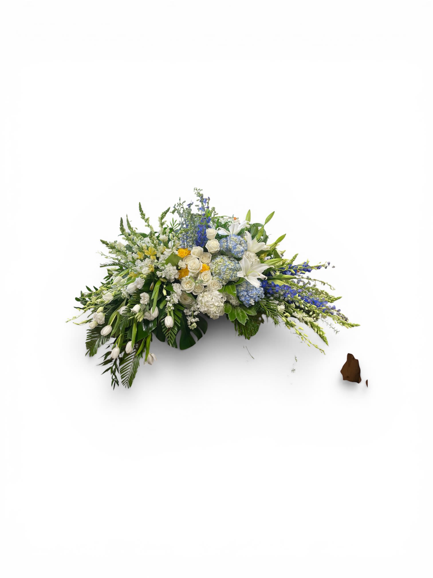 Watercolors Casket Piece by Petal Perfection  - Soft blue delphinium and round blue hydrangeas create a serene horizontal display that brings calm to difficult moments - a sympathy and funeral arrangement designed to comfort the person you're remembering. This low casket-style flower arrangement pairs clusters of white roses and fragrant white lilies with white tulips and small white blooms, their graceful, cascading edges evoking gentle movement and quiet elegance.  Set in a low container, the Watercolors piece measures as an elongated, table-friendly centerpiece that also suits a funeral display or a home remembrance. The palette of cool blues, crisp whites and subtle yellow accents gives the composition a refined, restorative feel; textures range from the full, cloudlike hydrangeas to the sculpted rose blooms and the tall, airy delphinium. Order knowing this arrangement arrives ready to place - its horizontal profile makes it easy to situate on a casket spray area, dining table, or mantel, and the mix of long-stemmed and clustered flowers holds visual presence without overwhelming the space.