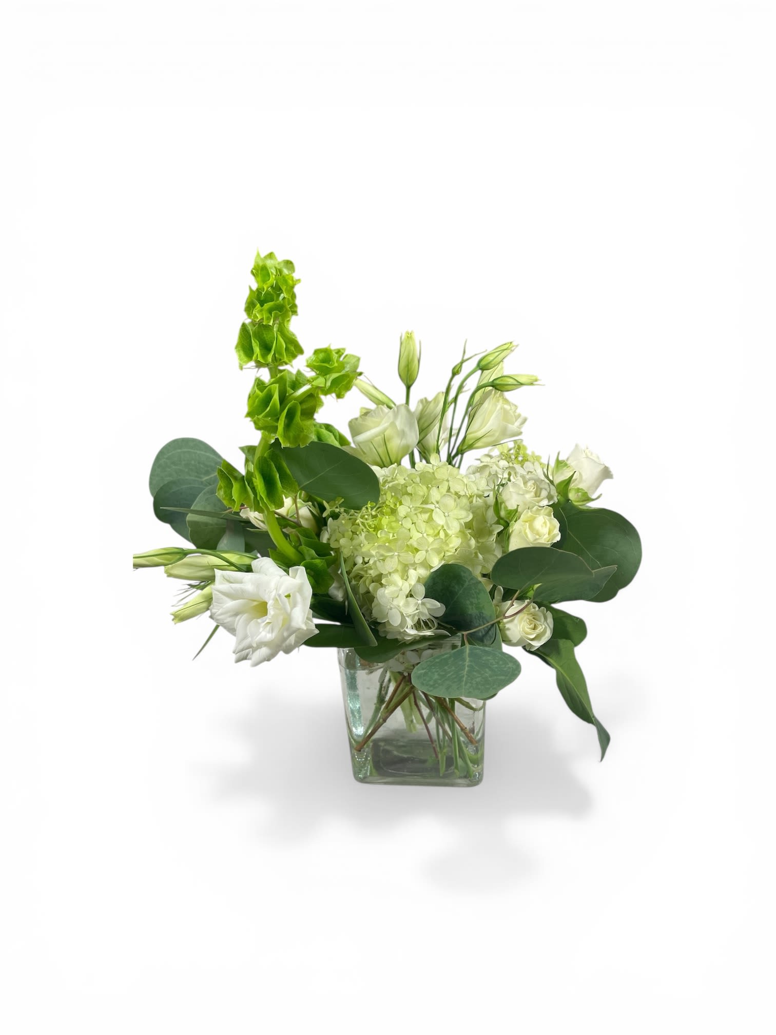 Whimsical White by Petal Perfection Flower Company - Soft green hydrangea forms a plush, inviting base while delicate white lisianthus blooms and buds lend a refined, airy touch-this white and green flower arrangement is an elegant choice for a sympathy arrangement, Mother's Day gift, or a soothing "thinking of you" bouquet. A vertical spray of bright Bells of Ireland creates a sculptural, contemporary line on one side that catches the eye and gives the design movement without overpowering the calm color story.  Arranged in a clear glass cube vase that reveals the clean stems, this compact design fits beautifully on a bedside table, entry console, or office desk. Expect a lush, tactile texture from the hydrangea paired with the soft, ruffled lisianthus and the tall, architectural Bells of Ireland; colors stay in a serene palette of white and green meant to comfort and uplift. Size and stem visibility make care simple-fresh water and a cool spot away from direct sun will help blooms last longer-an ideal gift for birthdays, anniversaries, new baby celebrations, graduations, housewarmings, get-well wishes, weddings, or quiet holiday moments like Easter and Thanksgiving.