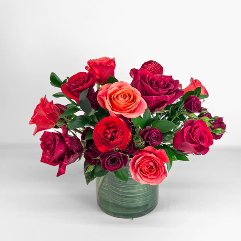 Ever After - Deep red roses and complementary seasonal florals are layered to create a rich, opulent arrangement that feels both classic and effortlessly luxurious. Perfect for a romantic gesture that leaves a lasting impression.