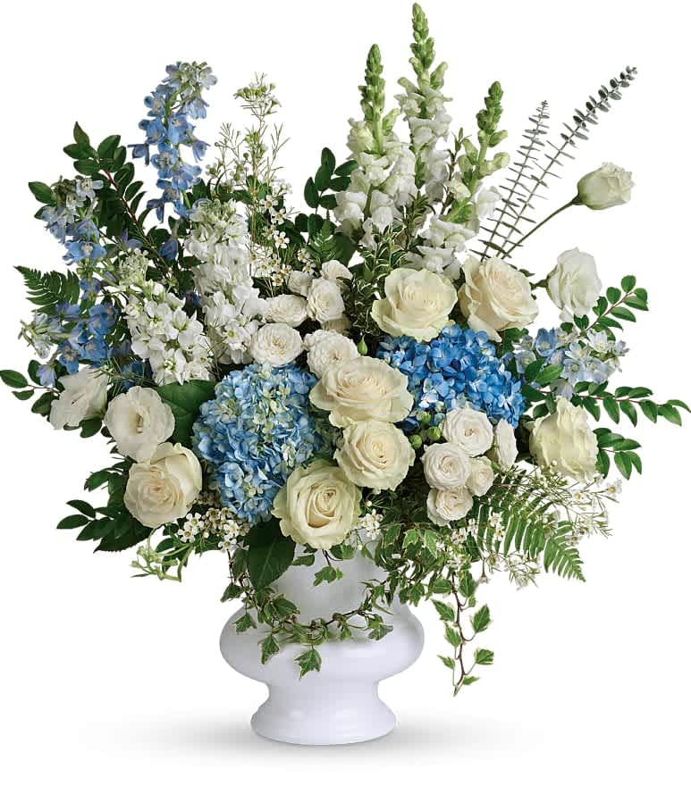 Treasured And Beloved  - A treasured tribute to your beloved, this gorgeously grand bouquet of soft blue hydrangea and pure white roses is reminiscent of a clear sky, a hopeful reminder of life and love. This beautiful bouquet of light blue hydrangea, white roses, white spray roses, white lisianthus, light blue delphinium, white snapdragons, white stock, and white waxflower is accented with huckleberry, variegated ivy, spiral eucalyptus, dagger fern, and lemon leaf. Delivered in a white designer urn. Approximately 27 1/2" W x 29 1/4" H