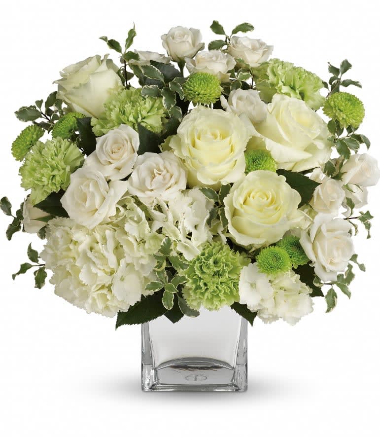  Shining On Bouquet - Let your love shine! No matter the recipient or the occasion, this stunning monochromatic mix of hydrangea and roses, hand-delivered in a shimmering silver cube, is destined to delight and inspire. This bouquet of blooms includes white hydrangea, white roses, white spray roses, green carnations, green button spray chrysanthemums and pitta negra. Delivered in a silver mirrored cube vase. Approximately 13 1/4" W x 13" H