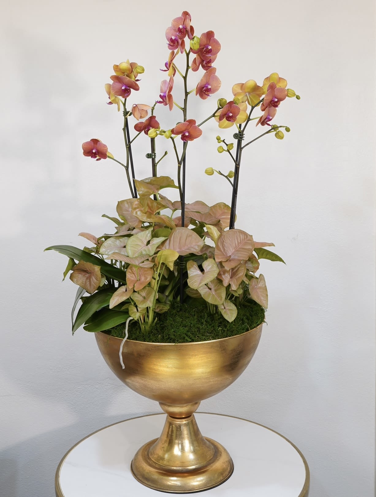 Golden Orchid Elegance - Golden Orchid Elegance is a sophisticated orchid arrangement featuring stunning blooming orchids arranged in a modern gold decorative bowl. This elegant design is perfect for luxury home décor, corporate gifts, birthdays, and special occasions. Each arrangement is handcrafted by Guy Floral Studio, a premium Los Angeles florist specializing in modern luxury floral designs. We offer same-day flower delivery in Beverly Hills, West Hollywood, Santa Monica, Beverly Grove, Bel Air &amp; Culver City. Order online or call now for fast delivery today. Luxury orchid arrangement available for same-day delivery in Los Angeles. The Orchid arrangement shown in the photo reflects our Deluxe size.