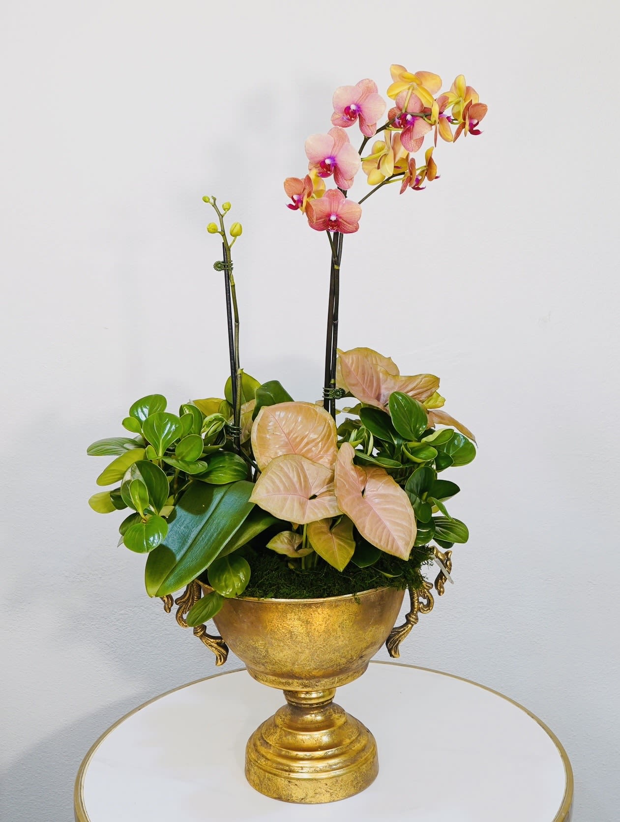 Golden Sunset Orchids - Golden Sunset Orchids is a sophisticated orchid arrangement inspired by the warm colors of a California sunset. Featuring stunning peach and yellow orchids with fresh greenery, this design is arranged in a modern gold decorative bowl for an elegant and luxurious look. Perfect for birthdays, housewarming gifts, corporate gifts, or luxury home décor. Handcrafted by Guy Floral Studio, a premium Los Angeles florist known for elegant and modern floral arrangements. We offer same-day flower delivery in Beverly Hills, West Hollywood, Santa Monica, Beverly Grove, Bel Air &amp; Culver City. Order online or call now for fast delivery today.   The Orchid arrangement shown in the photo reflects our Deluxe size.