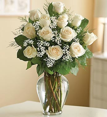12- 18- 24 White Roses vased - Choose from 12, 18 or 24 stems Whatever the occasion, give a gift that stands out in a crowd--a fresh, hand-arranged bouquet of premium long-stem white roses. Sophisticated and stunning, white roses are a gift of classic beauty they'll simply never forget. Our florists select only the finest, freshest long-stem white roses and arrange them by hand with fresh gypsophila in a classic glass vase 