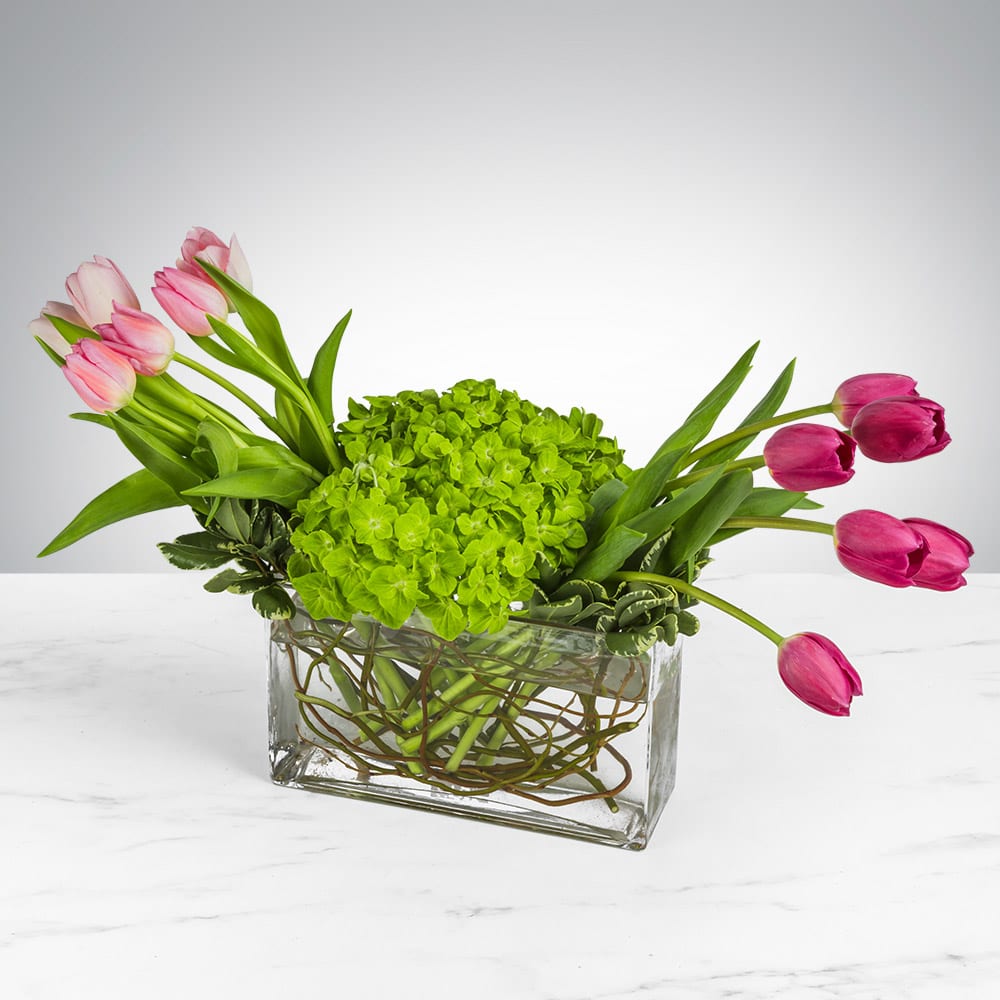 Simply Spring by BloomNation™ - Simply Spring by BloomNation™ is the perfect gift for the Spring or for Mother's Day.   Arrangement Details:  Includes hot pink tulips, blush pink tulips, and green hydrangea.  APPROXIMATE DIMENSIONS: 16" H X 7" L X 16" W