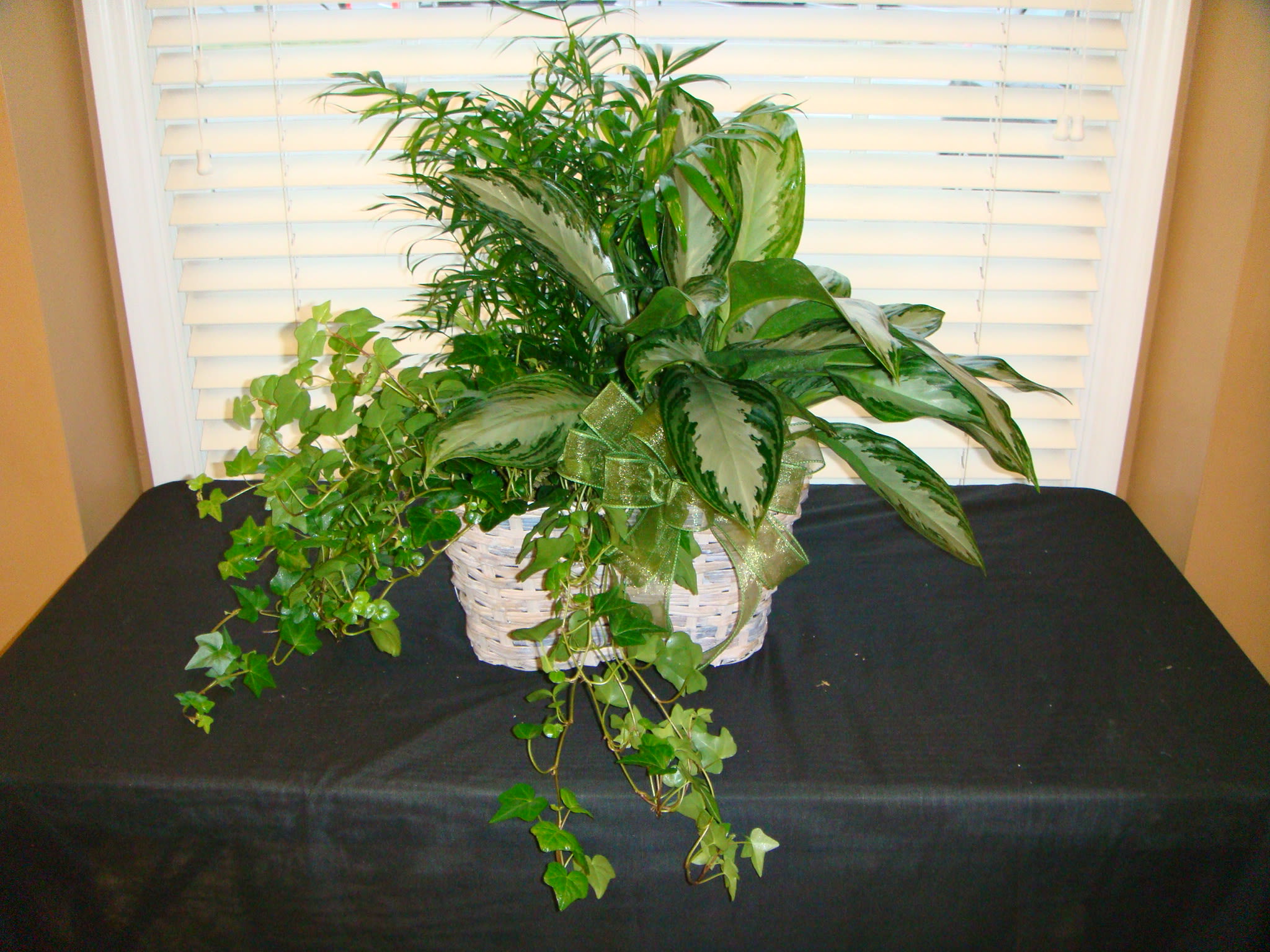  Living Spirit Triple Green Plant Basket - Please Note That Green Plants Will Vary Upon What is available
