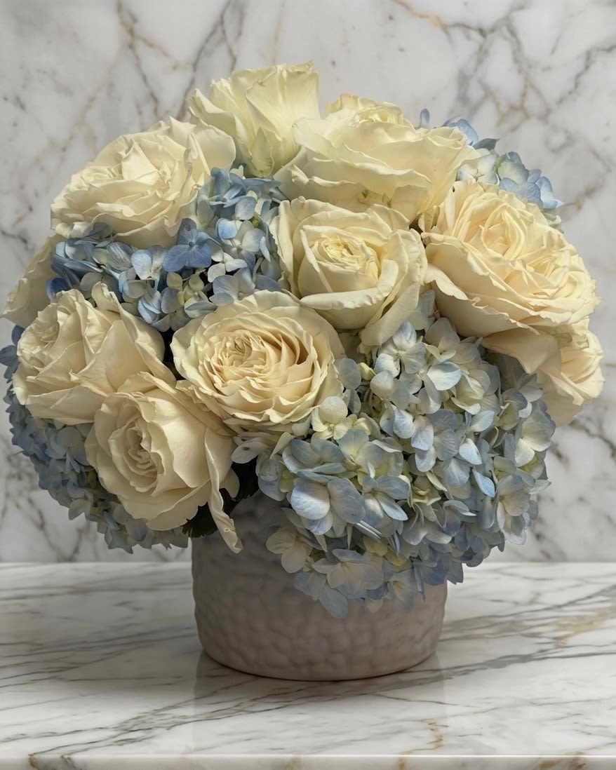 Blue Lace Romance - Soft, elegant, and effortlessly timeless-this stunning arrangement pairs creamy ivory roses with delicate blue accents for a look that's both fresh and sophisticated.