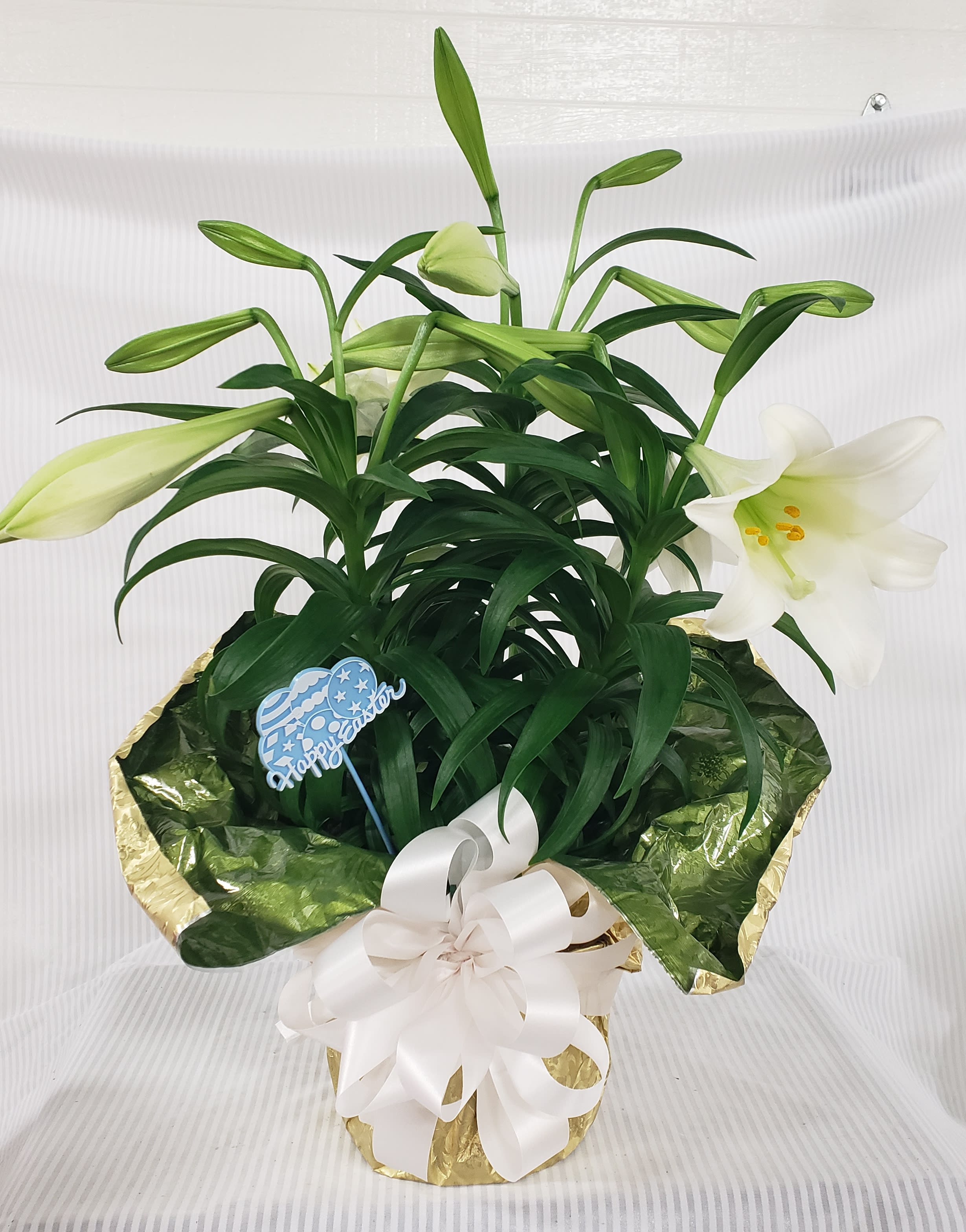 Easter Lily  Triple Stem - The perfect traditional Easter gift with 15 or more blooms