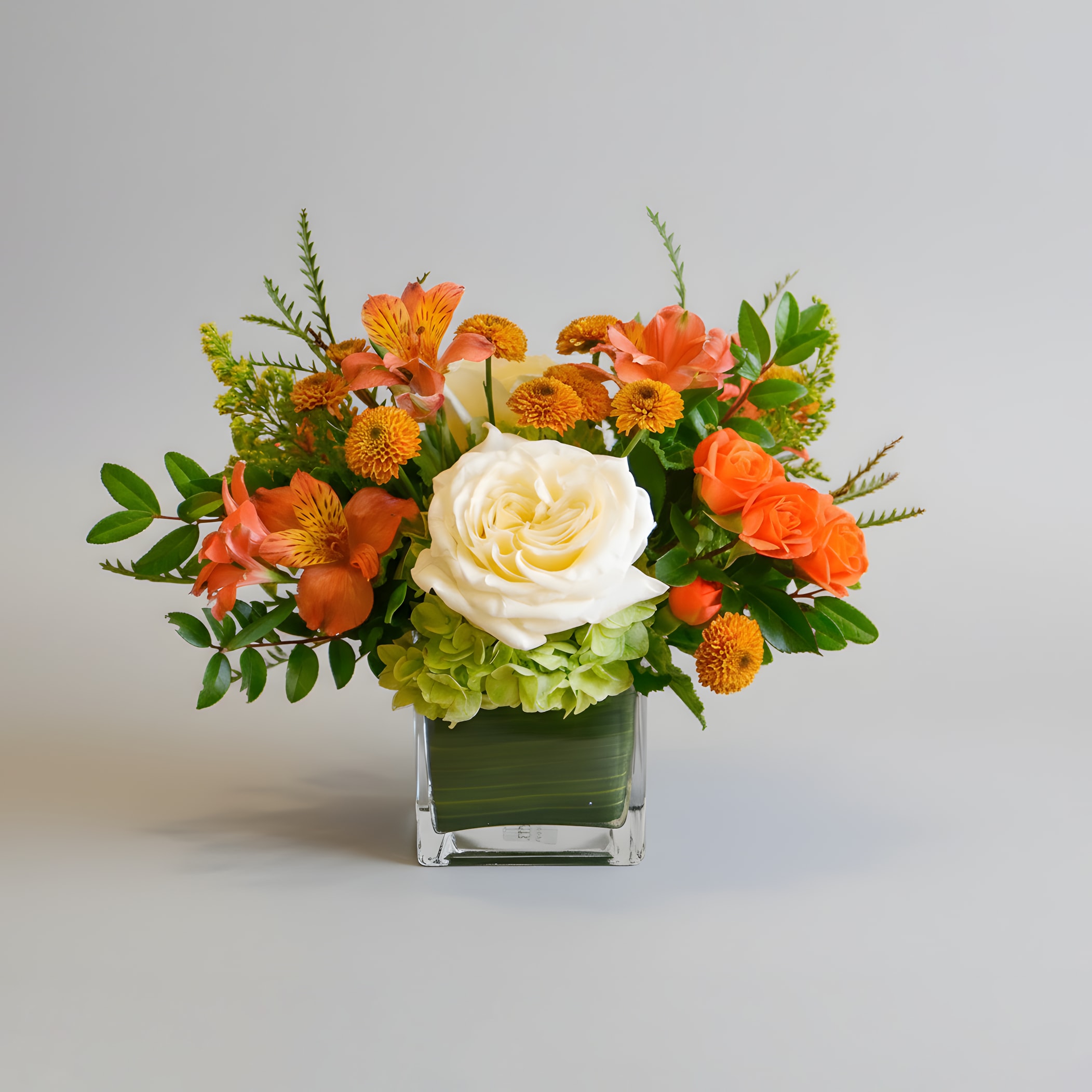 Pacific Glow - Bright, compact, and effortlessly elegant — Pacific Glow captures the warmth of California sunshine in a modern, petite arrangement. Featuring lush cream garden roses, orange spray roses, bronze mums, alstroemeria, and green hydrangea, this design blends cheerful color with timeless sophistication. Arranged in a sleek 4x4" glass cube vase with clean lines, Pacific Glow is perfect for Thanksgiving gatherings, holiday gifting, or simply adding warmth to your home or office. Arrangement approximately measures 8 inches tall and 8.5 inches wide with flowers.  Handcrafted with care in West Los Angeles, this arrangement is available for same-day flower delivery throughout Santa Monica, Brentwood, Beverly Hills, Westwood, Pacific Palisades, and surrounding areas.