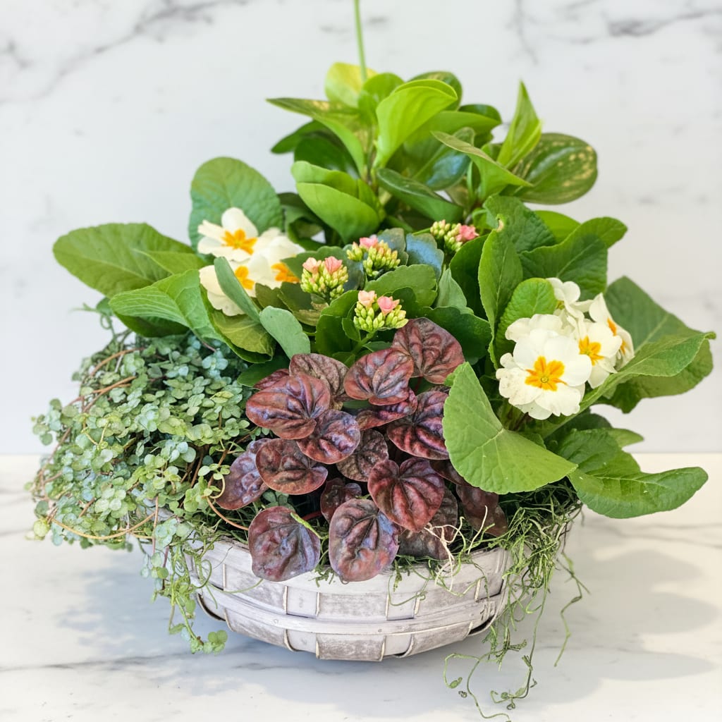 Blooming Garden - This bountiful planting of green and blooming plants makes a gorgeous gift for a new home or bereavement.  Plants are artfully arranged in a round ceramic dish or basket.  Measures approx. 14x10