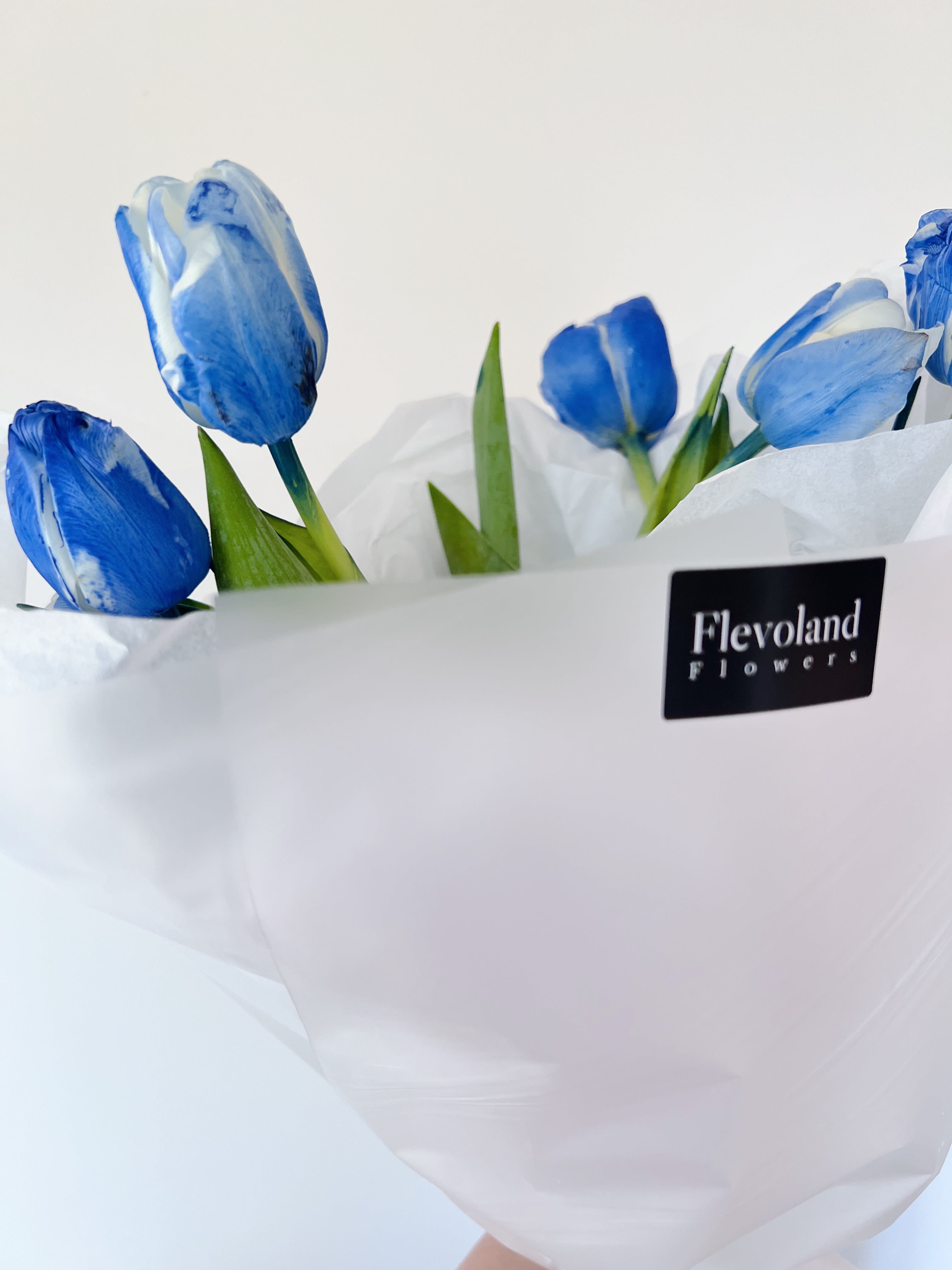 Soft Blue - A bouquet of 10 tulips in deep, marbled shades of blue wrapped in crisp white paper to let their color speak. Minimalist, modern, and full of quiet strength. A thoughtful gesture for him, or for anyone who appreciates something truly unique. 