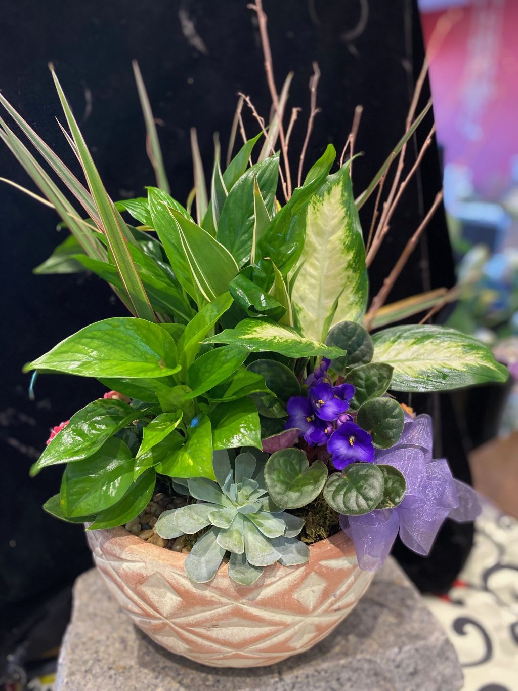 Premium Dishgarden - Large - The Boston plant wholesaler we buy our dishgardens from has the healthiest and prettiest plants....bar none!  Their gardens start with beautiful ceramic planters in varied shapes and colors.  This lovely terracotta planter is loaded with lush, healthy plants such as African violets, succulents, peace lily and dracaena.  This is a wonderful gift for so many occasioins. 