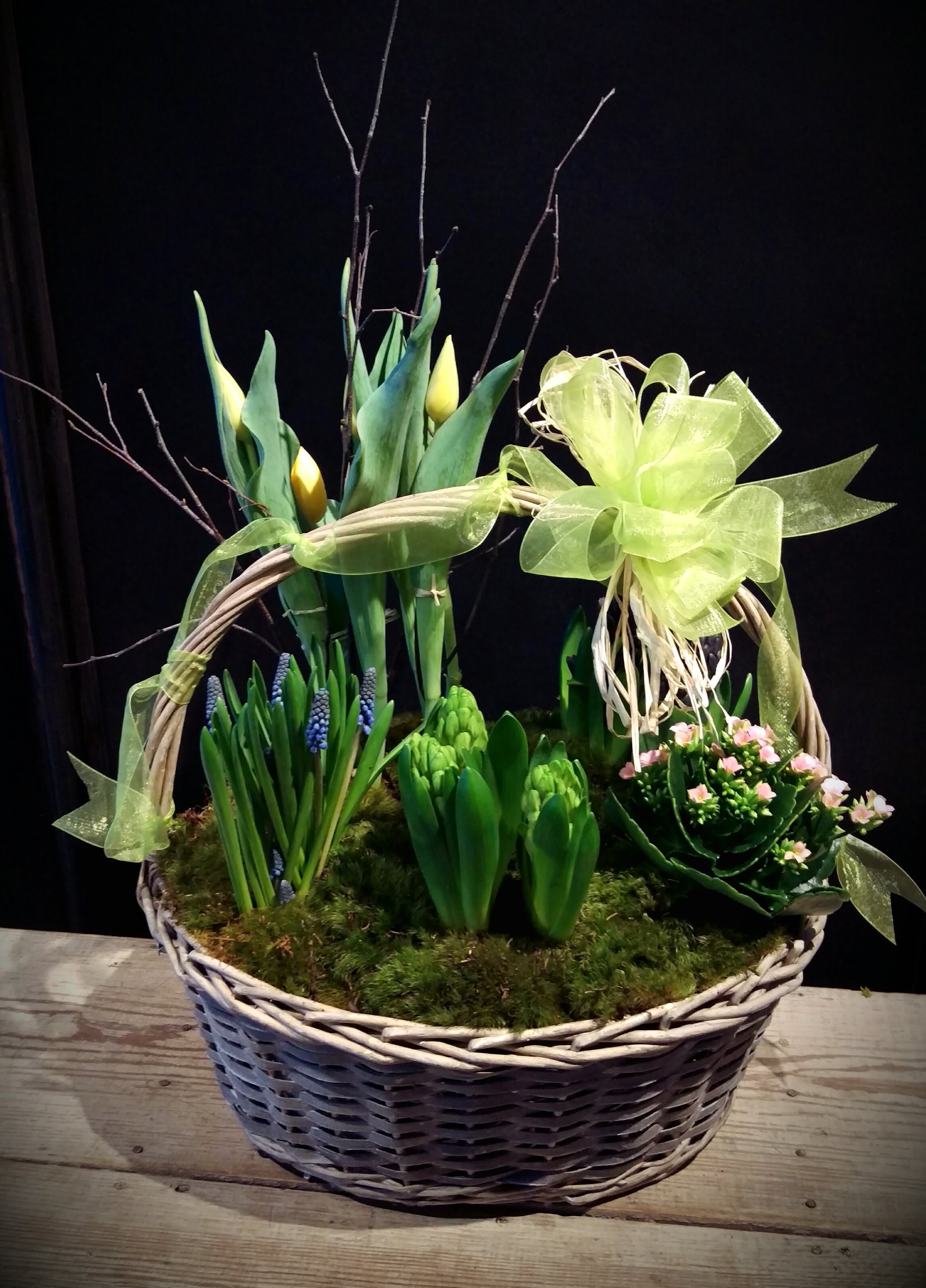 Premium Spring Bulb Garden  - Like a sparrow's tweet heralding the coming of spring.. these bulbs are delivered nestled in green moss and basket.  As the bulbs continue to mature..they will offer several days of enjoyment with blooms and fragrance. 