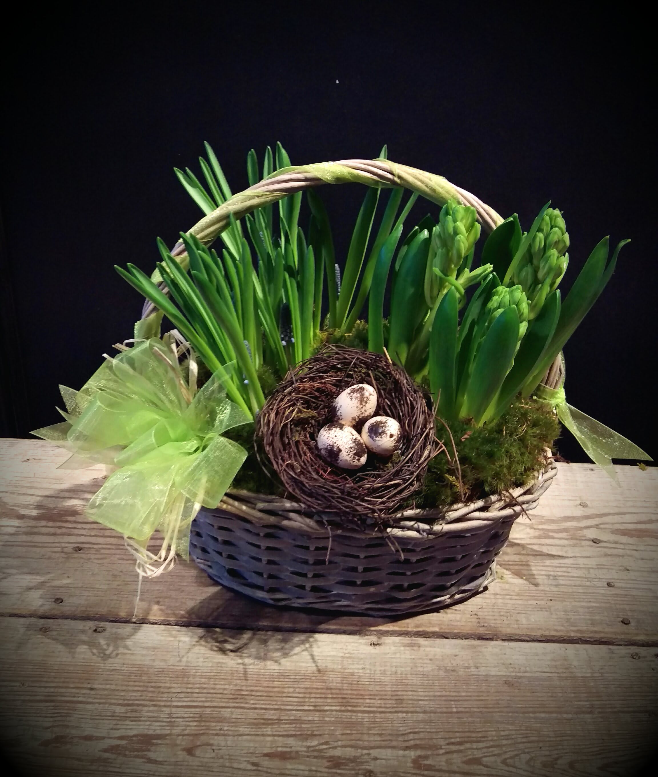 Sparrow's Bulb Garden  - Like a sparrow's tweet heralding the coming of spring.. these bulbs are delivered nestled in green moss and basket...accented with a nest and faux eggs.  As the bulbs continue to mature..they will offer several days of enjoyment with blooms and fragrance.  