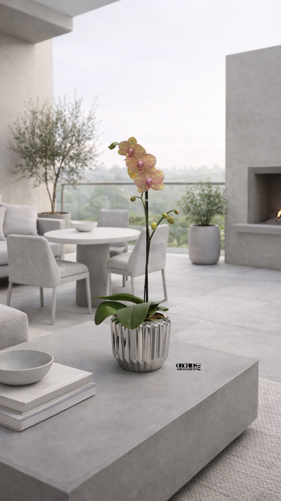 Peach Phalaenopsis Orchid – Designer Collection - This elegant Single Peach Phalaenopsis Cascade orchid arrangement creates a striking vertical presence, making it ideal for grand interiors and modern living spaces with a vase 7" D X 7" T.  