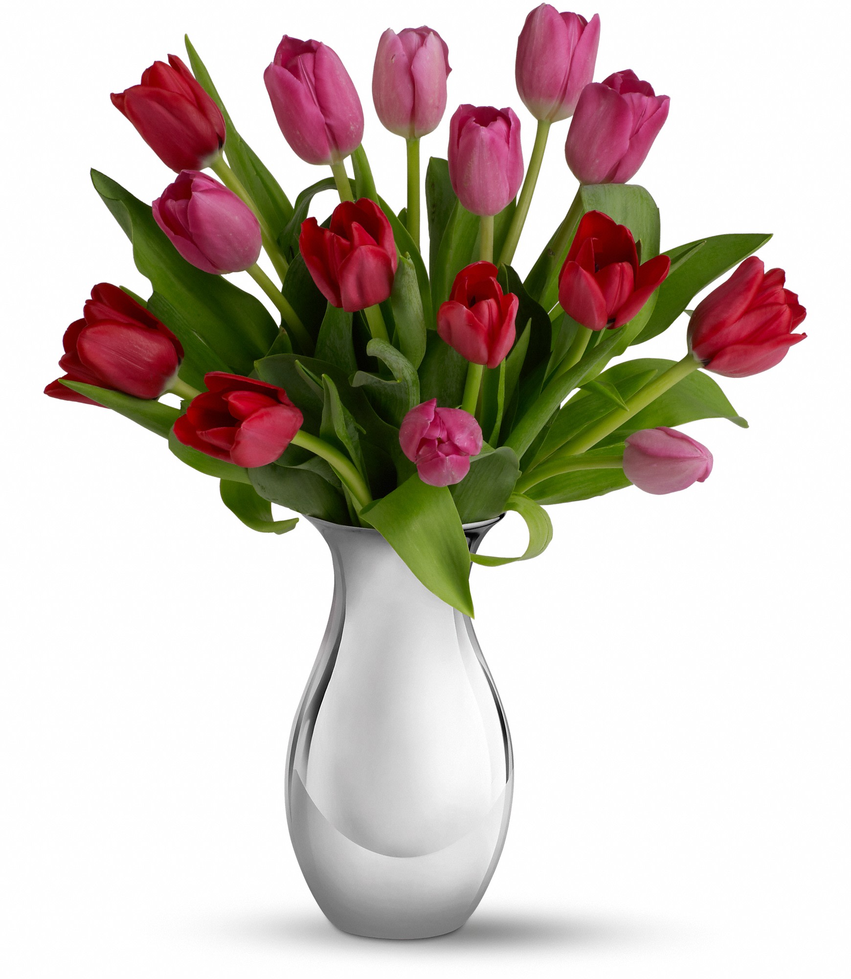 Teleflora's Sweet Surrender - Surrender to the elegant, natural beauty of tulips. Over a dozen red and pink flowers are presented in our graceful Silver Reflections vase. It's an understated presentation that highlights the tulips' natural beauty - as well as your love and friendship. T402-1A