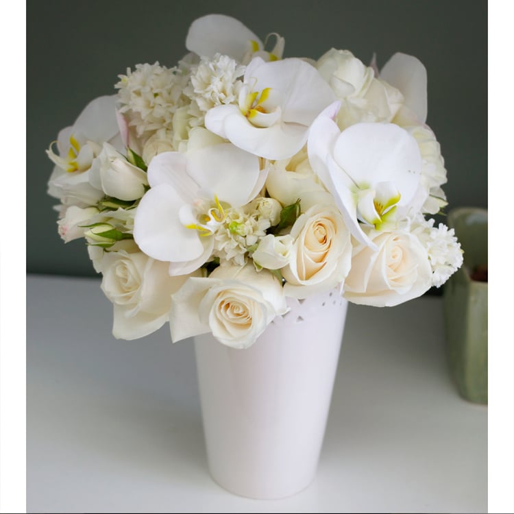 White Chic Designers' Choice - White phalaenopsis orchids, white spray roses and white ornigalthalum combine to make an arrangement of chic white flowers.