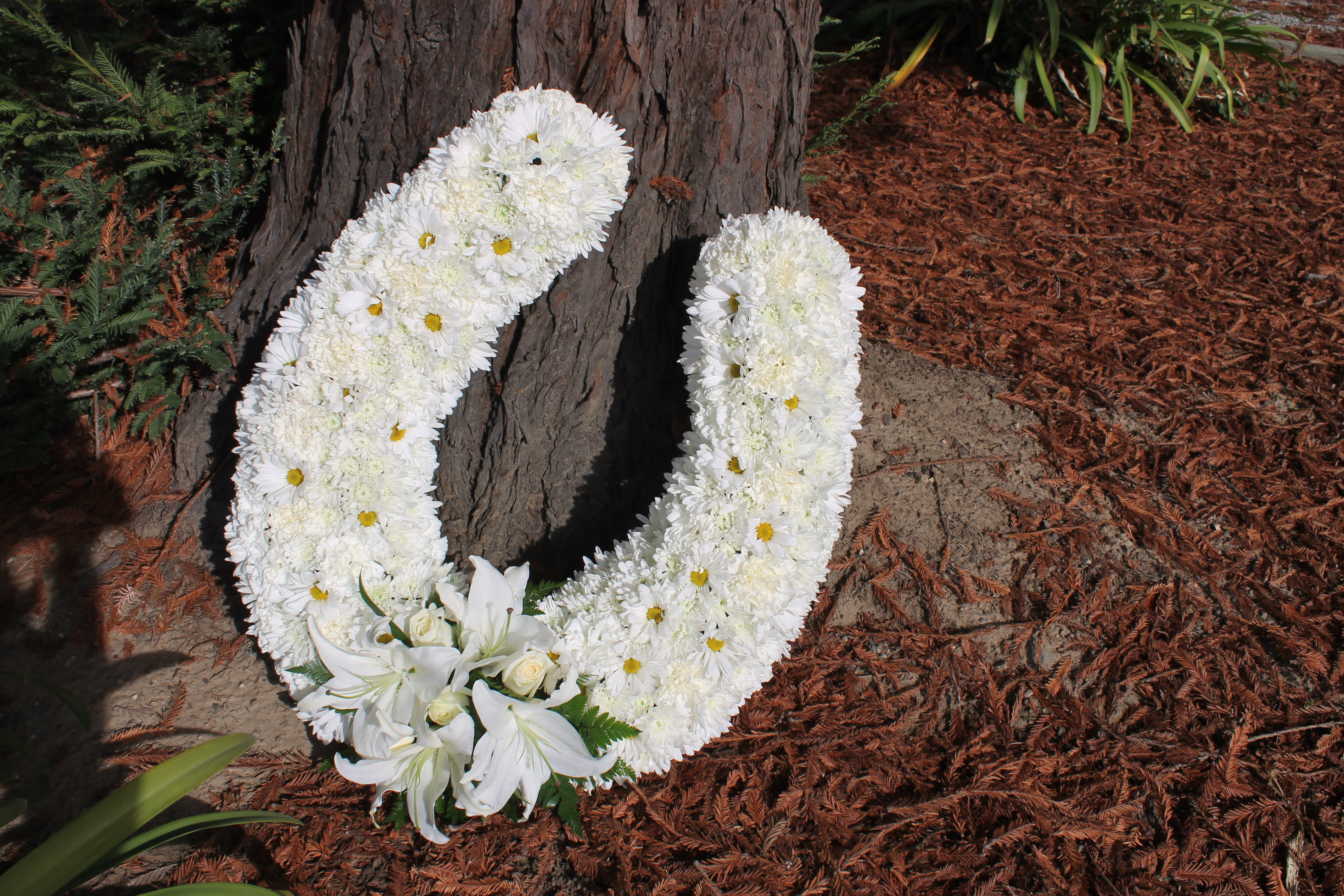 Horse Shoe - Unique design in form of a horse shoe, looks beautiful. Disclaimer: Flowers may be substituted if needed. This arrangement must be pre-ordered at least 5 days in advanced.