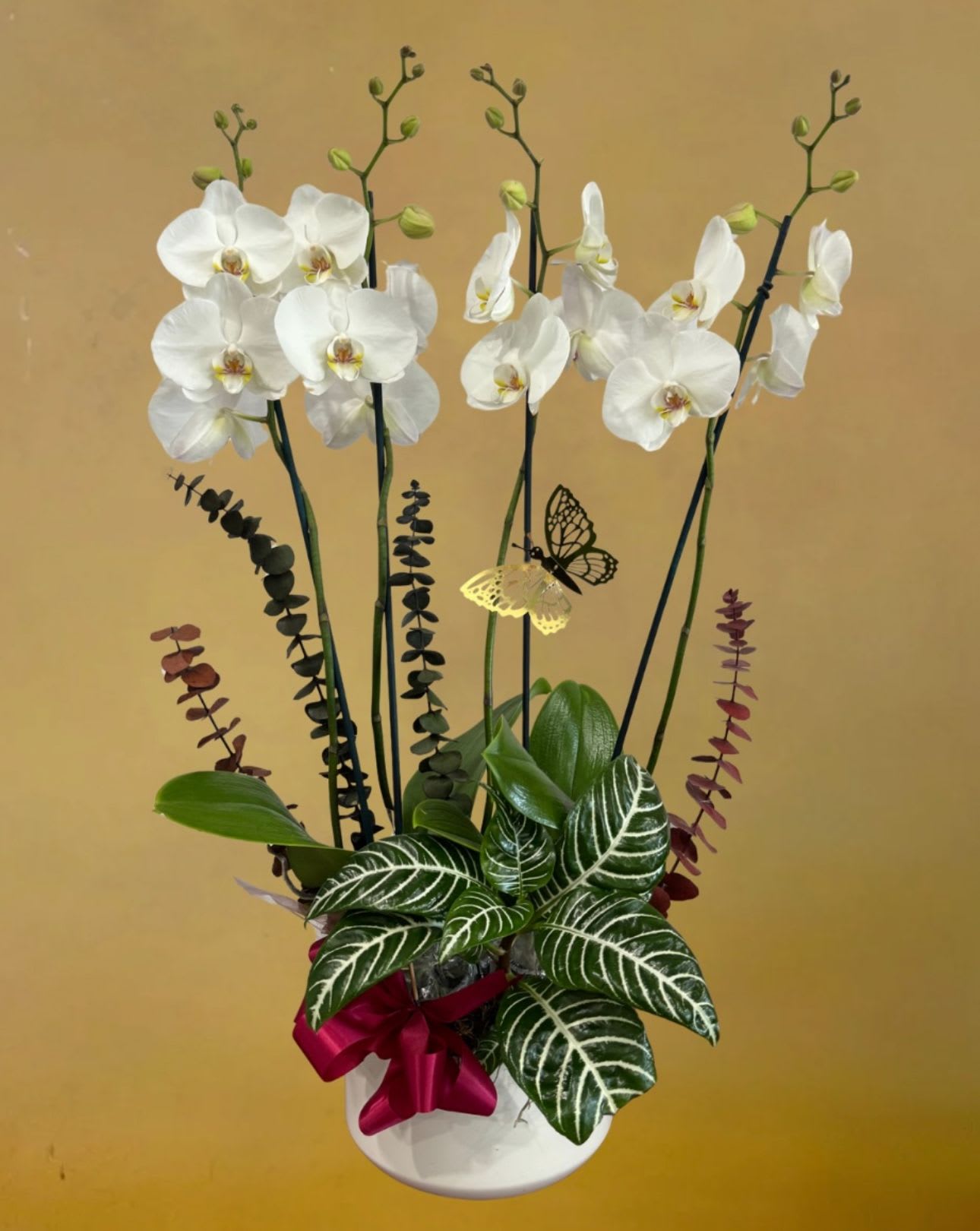 Orchid Serenity  by D'Lily's Flowers  - Elegant white orchids paired with lush green foliage and accent eucalyptus, beautifully arranged with butterfly details. A fresh and graceful touch for any space.