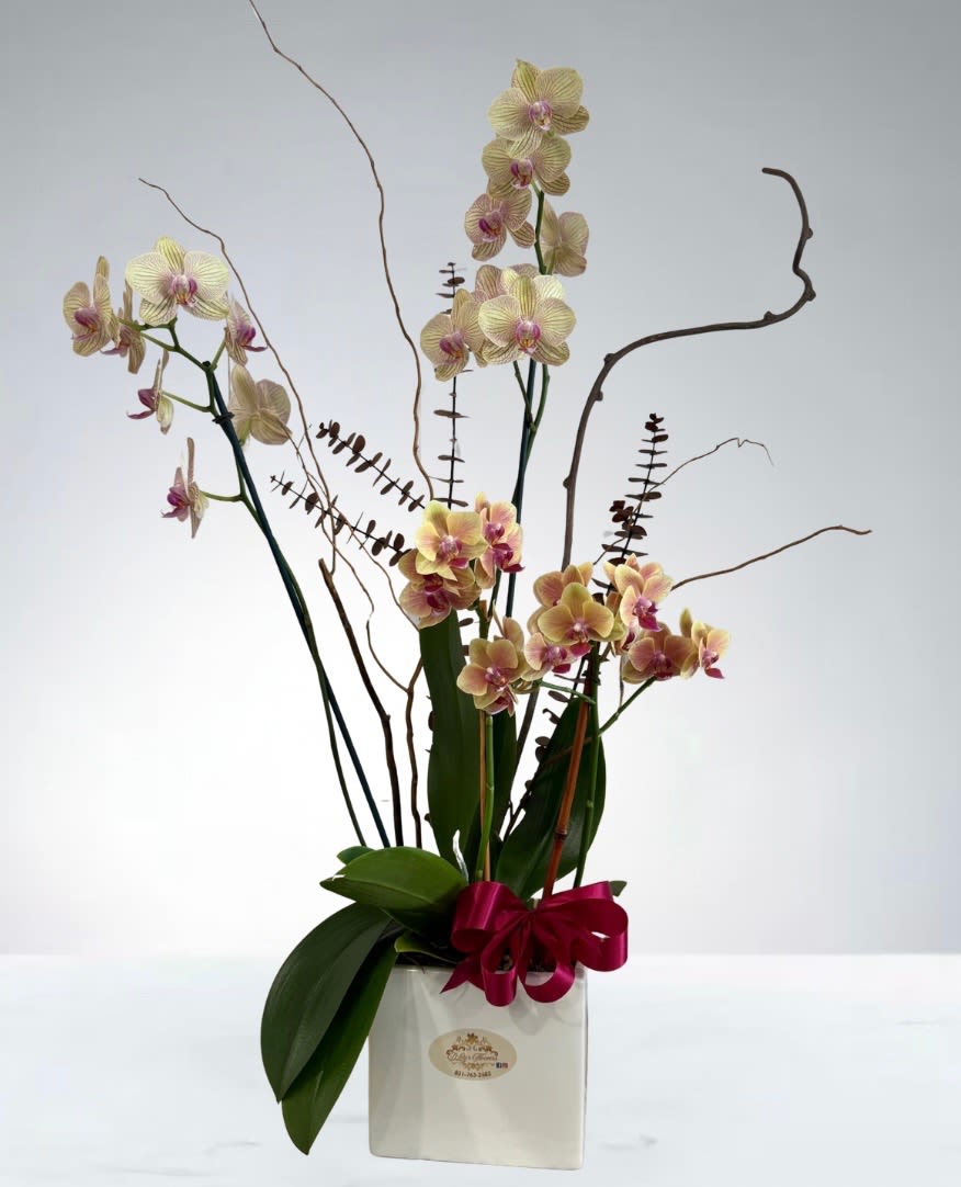 Sunlit Orquids - This arrangement of yellow orquids with a hot pink center radiates warmth, elegance, and modern charm — perfect for uplifting any room or celebrating a special moment