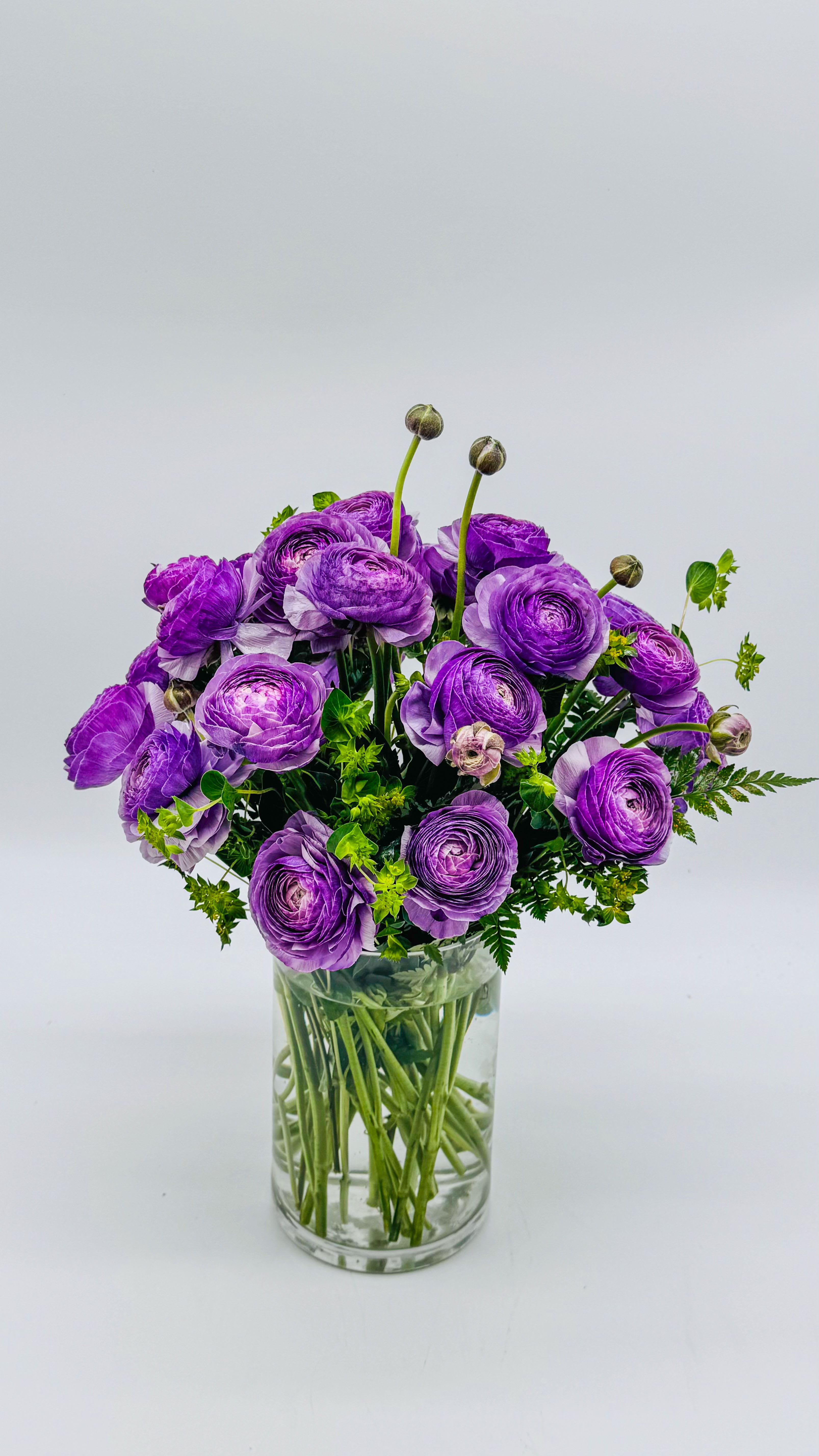Purple Ranunculus - A dense dome of vibrant purple ranunculus makes a bold, cheerful statement-perfect as a birthday bouquet, a thank-you gift, or a thoughtful pick-me-up. The layered, ruffled blooms give rich texture and visual movement while a few taller buds lift the silhouette, so the recipient will feel genuinely celebrated the moment they see it.  Arranged tightly in a clear glass cylinder vase, the bright purple petals are set off by fresh green accents and the clean transparency of the vase, creating a polished yet lively look that suits a desk, bedside table, or entryway. Size and care: arranged to present as a compact, full bouquet in a standard cylinder vase; change the water every two days, trim stems at an angle, and keep out of direct sunlight to extend vase life.