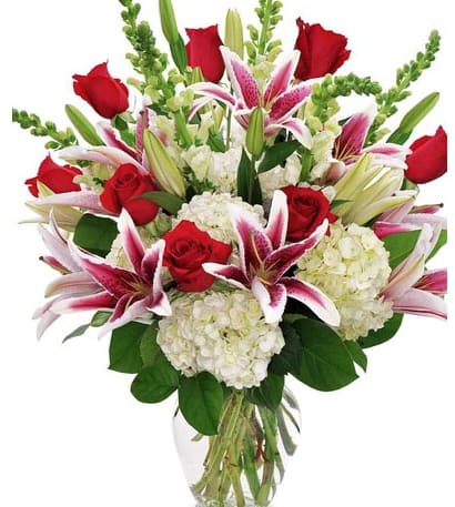Crazy For You 1 dozen Roses + Hydrangea, Stock &amp; Stargazer Lilies - Beauty and romance! Send a magnificent combination of fragrant red Roses, locally grown Stargazer Lilies, and white Stock nestled in with stunning white Hydrangea.
