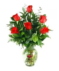 1/2 DOZEN RED ROSES - Six vivid red roses rise above a lush collar of green for a classic half-dozen bouquet that reads romantic and sincere - perfect as a birthday surprise, anniversary roses, or a simple "thinking of you" for someone special. The arrangement's rounded, balanced silhouette ensures the recipient will feel noticed and cherished the moment they see it.  Each stem is evenly spaced among assorted foliage that adds fullness and contrast, with touches of white space from the greenery to make the crimson petals pop. The roses arrive in a clear glass vase printed with a playful flamingo graphic, giving this traditional design a lighthearted twist that suits both romantic and everyday gifting.  This is the kind of bouquet that makes her feel truly seen - elegant enough for anniversaries, yet cheerful for casual celebrations. Vase included; arrange water care by trimming stems and changing water every few days to keep the roses fresh longer.
