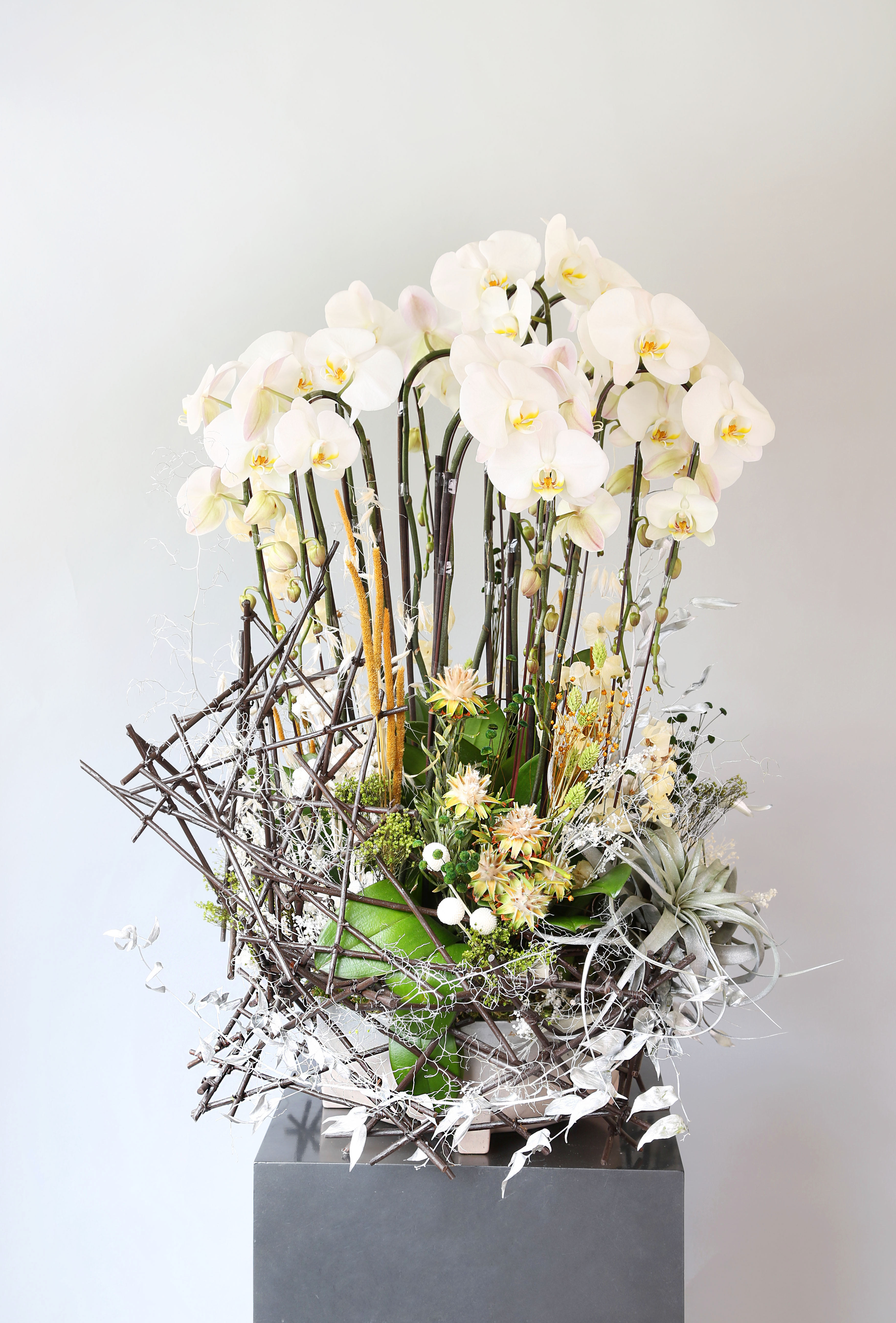 Designer Choice Orchid Premium - I unique design of Premium Orchid arrangement with sculpture design  preserve material.  You can select your orchid color.Disclaimer: Photo just represent the overall style, look and feel, which may not be able to identically replicate in some instance. We will only substitute item of equal value or higher value. 