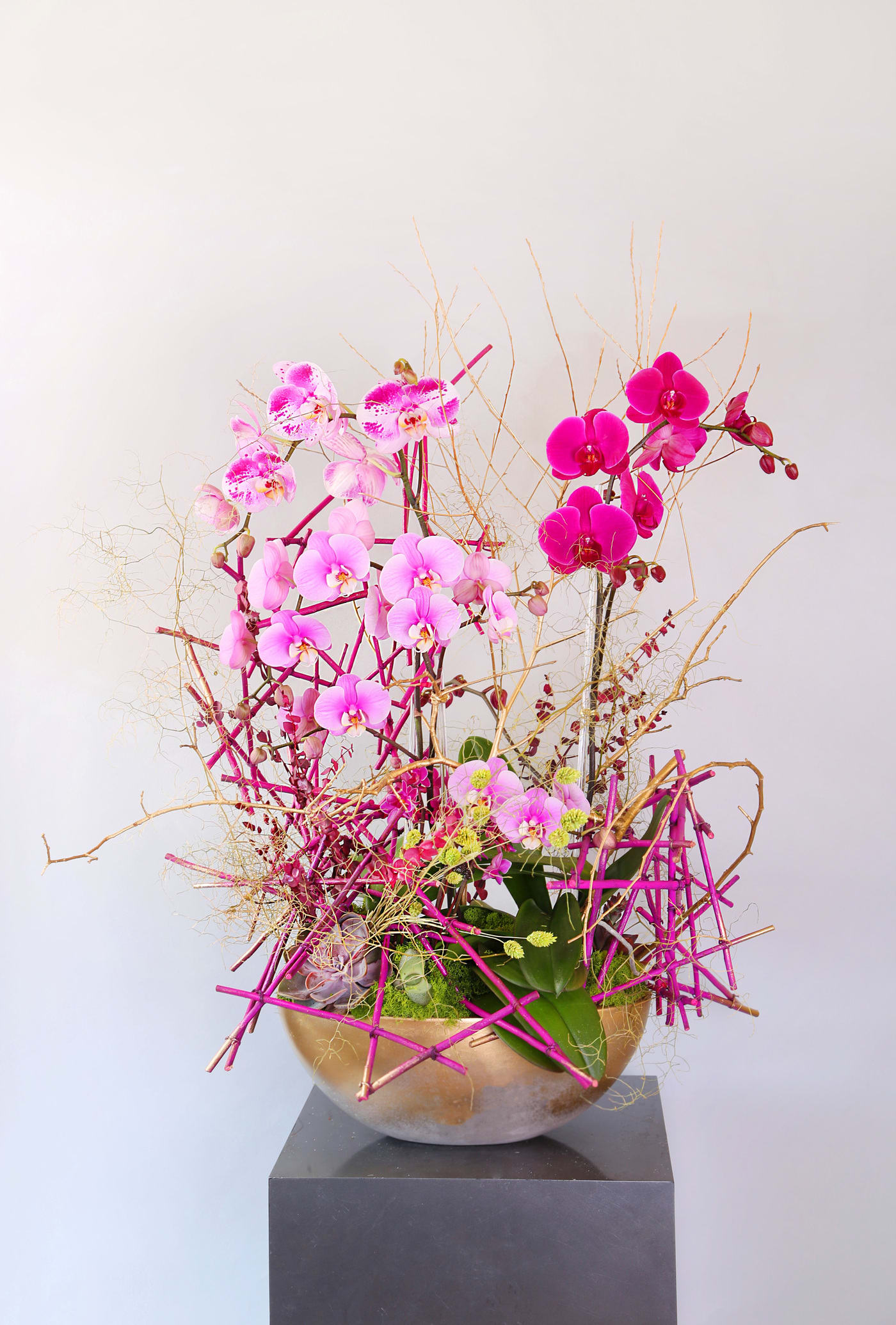 Designer Choice Orchid standard - A unique design of orchid- Disclaimer: Photo just represent the overall style, look and feel, which may not be able to identically replicate in some instance. We will only substitute item of equal value or higher value. You can select your orchid color