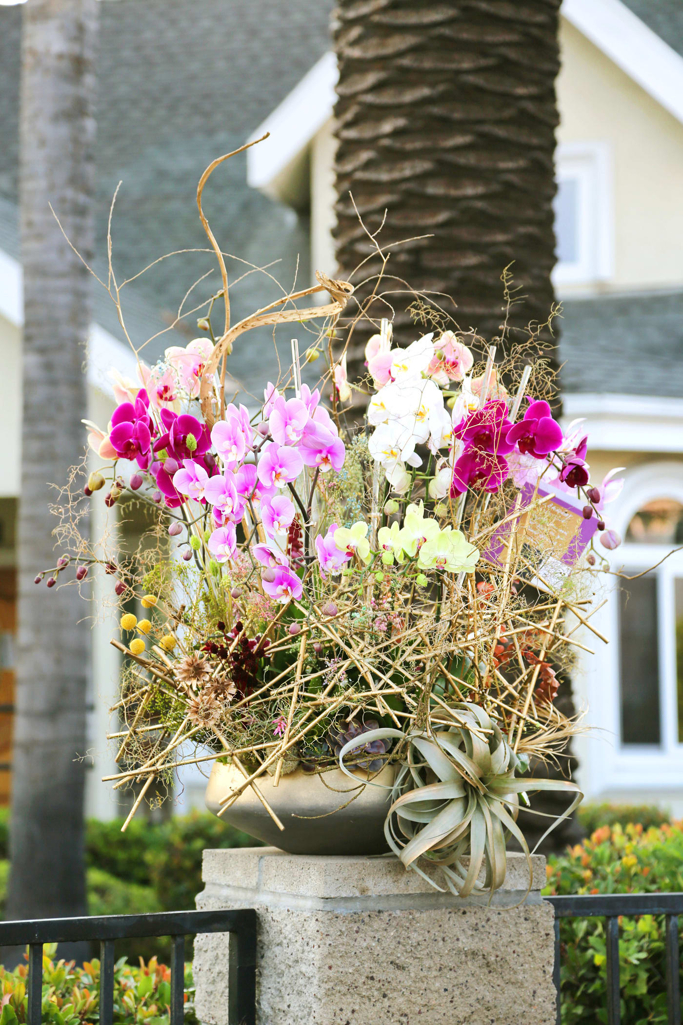 Designer Choice orchid Supreme - A Grand luxury with intricate craftsmanship orchid arrangement   Disclaimer: Photo just represent the overall style, look and feel, which may not be able to identically replicate in some instance. We will only substitute item of equal value or higher value. 