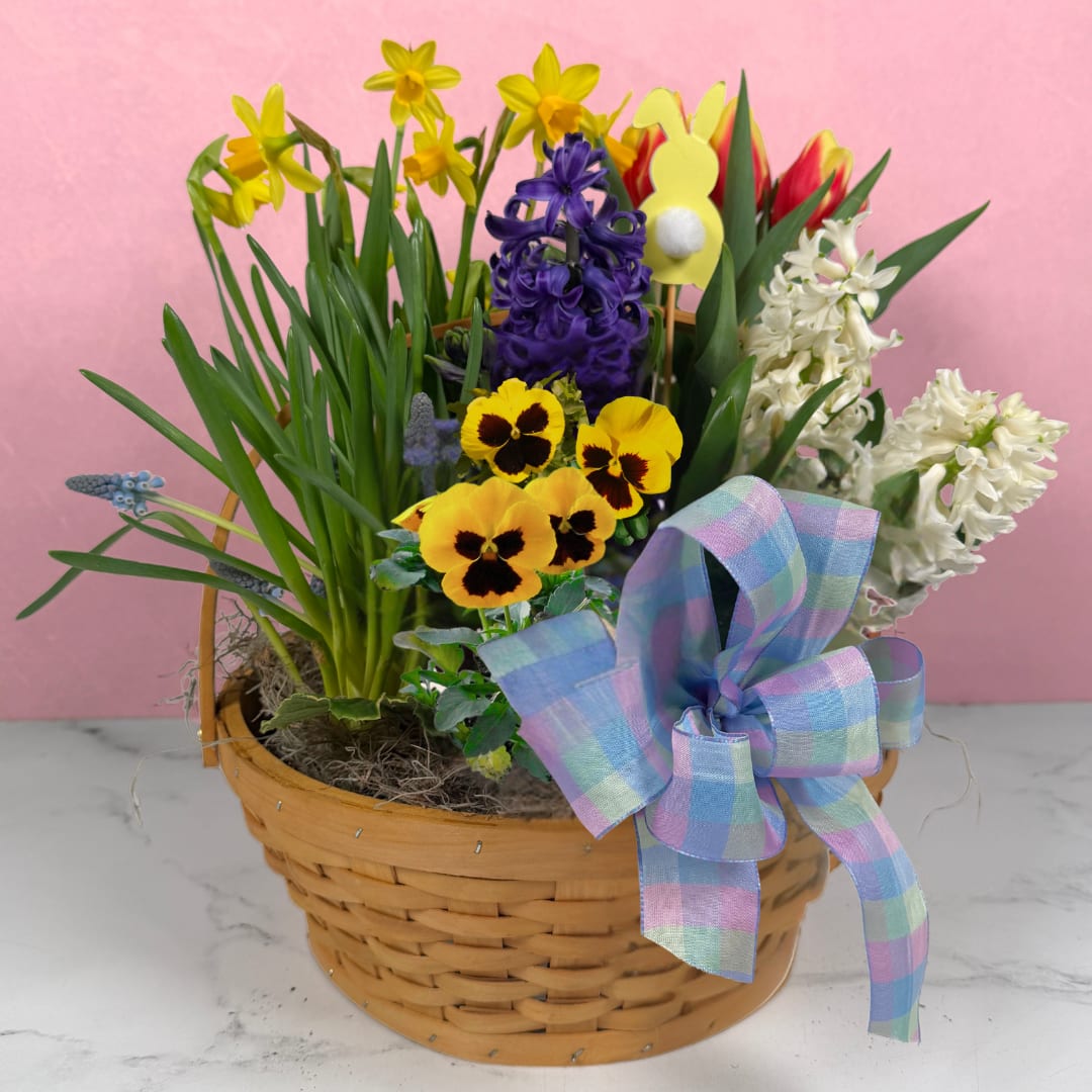 Somebunny in the Garden - This Easter, give "somebunny" you love the gift of beautiful flowering bulb plants with our Somebunny in the Garden by Savilles Florist! This basket comes with 6 flowering bulb plants like hyacinths, tulips, daffodils, primrose, and more. Tying everything together is a lovely plaid bow and a cute little bunny pick! This is the perfect gift for your favorite green thumb this Easter, and the plants can be enjoyed long after the holiday is done!