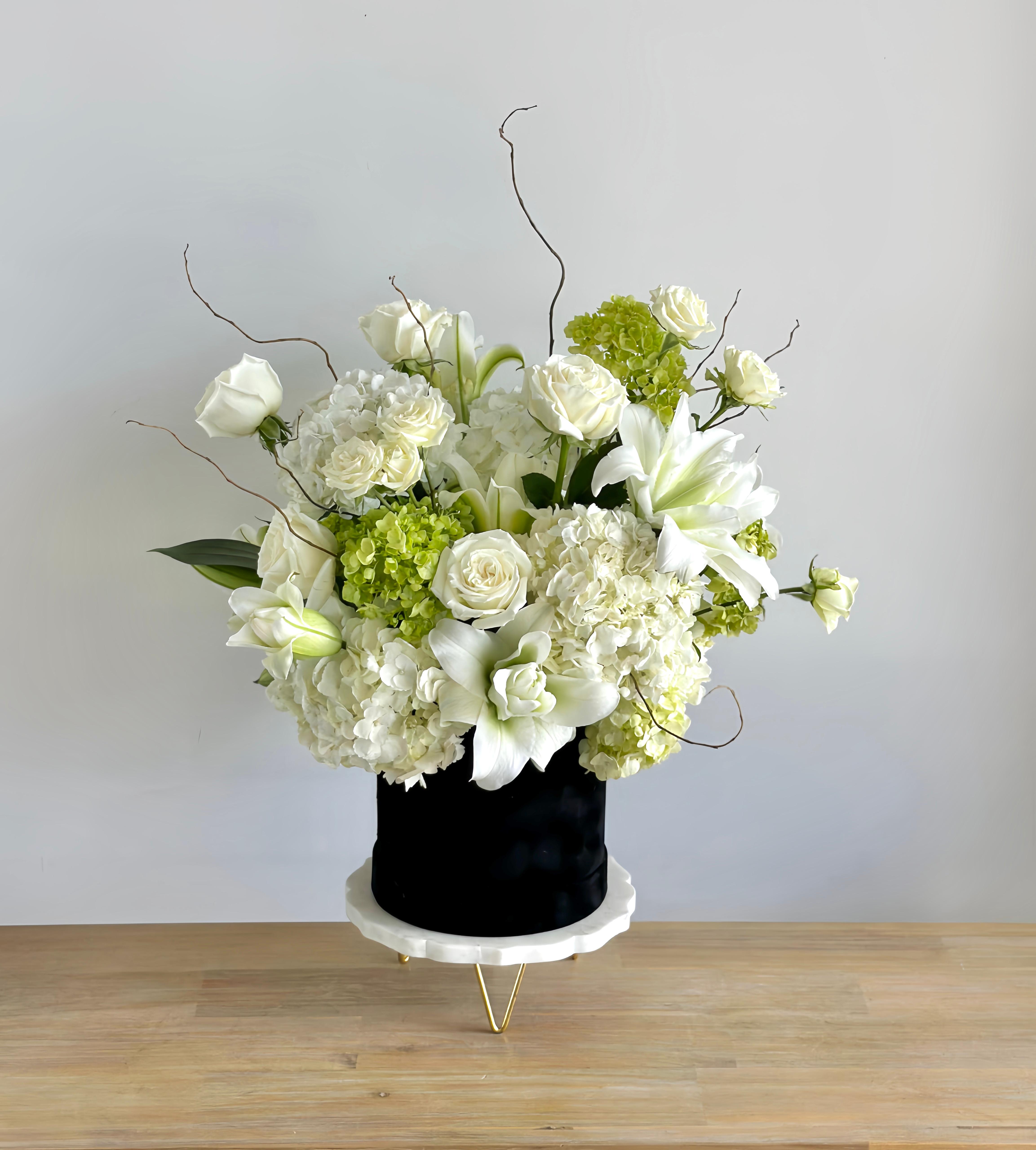 Luminous - A fresh mix of white and green blooms, beautifully arranged in a black velvet box.  Flower types may vary depending on the season.