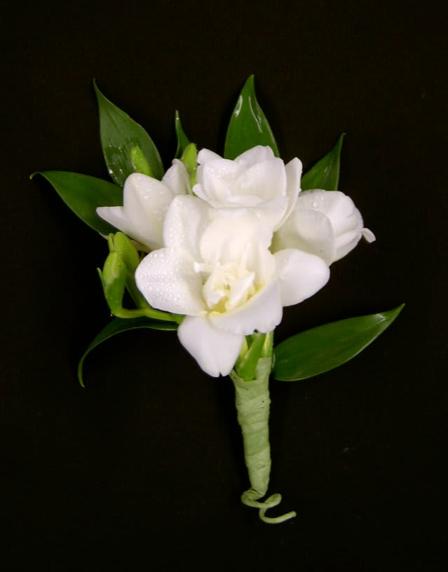 White boutonniere - orchid or freesia. - *NOTE: We do not accept corsage or boutonniere orders online. Feel free to browse online and then please call the shop to order. If you would like to order a white boutonniere to match your prom date's corsage, but do not want a rose, we are happy to use either dendrobium orchids or white freesia instead.  Two small white orchid blooms or one large freesia make a perfect sized boutonniere when nestled among a few greens. All boutonnieres are the same price regardless of flower chosen.