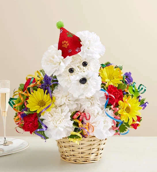 Another Year Rover - Product ID: 95238  EXCLUSIVE Put this playful pooch on the invite list for their next birthday bash! Our signature a-DOG-able arrangement arrives ready to party 'til the dogs come home, with his adorable birthday hat and plush birthday present. Surrounded by an abundance of cheerful, colorful blooms such as mini carnations and poms, he brings a fun expression of your best wishes for any birthday star (even if they count their age in dog years). Colorful a-DOG-ableÂ® arrangement of white carnations, poms, mini carnations, statice, monte casino and variegated pittosporum Arranged by our select florists in the shape of an adorable dog, complete with eyes and nose Features a festive plush birthday hat, plush present and a pair of paper party horns Arrives in a willow dog bed basket lined with sheet moss Arrangement measures approximately 11"H x 11"L Our florists select the freshest flowers available so floral colors and varieties may vary