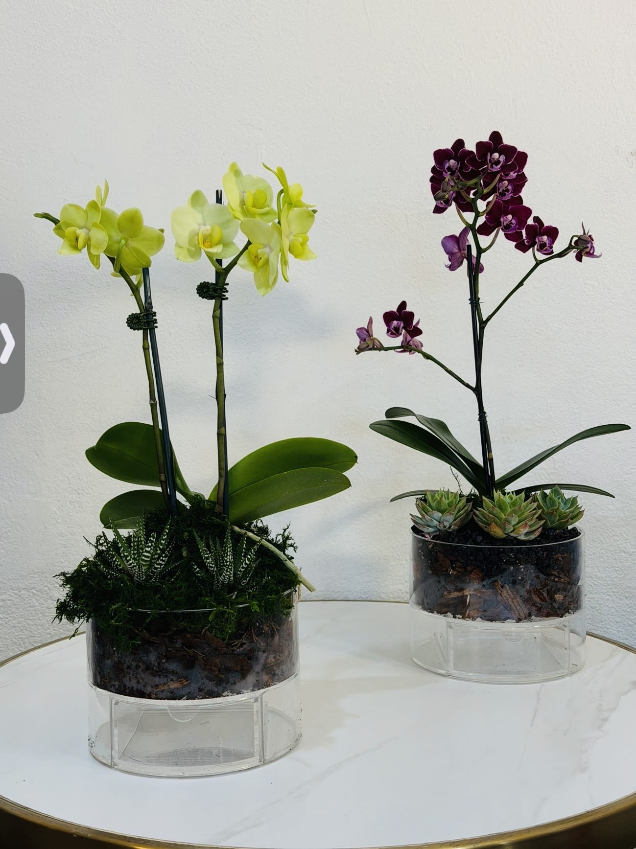 Modern Orchid &amp; Succulent Arrangement - A unique and modern floral design combining elegant orchids with natural succulents, beautifully arranged in a contemporary glass container. This stunning piece blends vibrant orchid blooms with earthy textures, creating a fresh, stylish, and long lasting arrangement. Available in multiple color variations, this design is perfect for gifts, home décor, offices, or anyone who appreciates a modern botanical look. At Guy Floral Studio, we specialize in premium, artistic floral arrangements designed to stand out and make a lasting impression. Same Day Flower Delivery Available We proudly deliver to: West Hollywood, Beverly Hills, Bel Air, Beverly Grove, Hollywood Hills, Hollywood, Santa Monica and surrounding Los Angeles areas. Each arrangement is carefully handcrafted to ensure beauty, freshness, and a sophisticated finish.