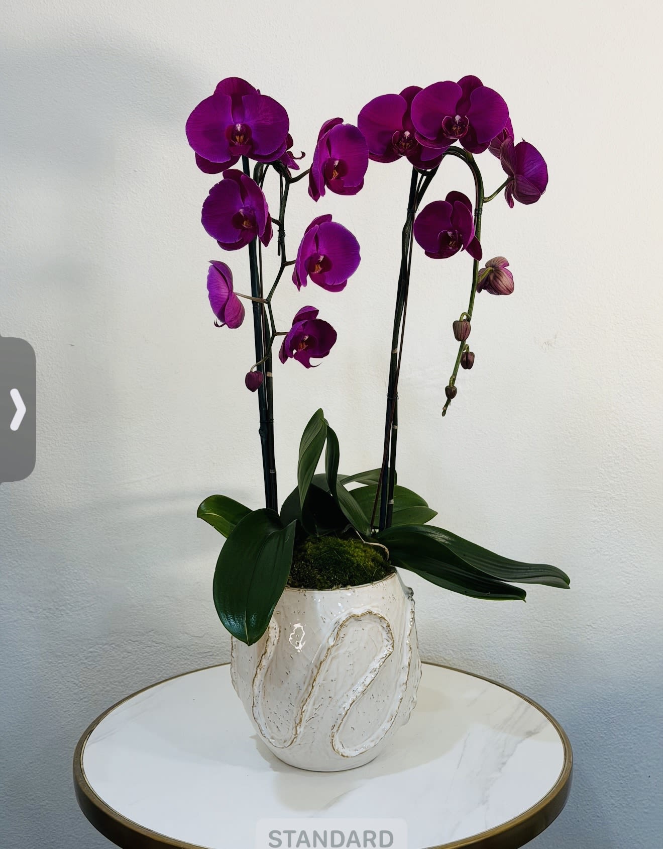 Royal Purple Orchid Duo - Make a bold and luxurious statement with this stunning purple orchid duo, beautifully arranged in a textured ceramic vase. Featuring vibrant, rich blooms, this elegant design brings depth, sophistication, and a modern artistic touch to any space. Perfect for upscale gifts, birthdays, celebrations, or simply elevating your home décor with a premium floral piece. At Guy Floral Studio, we specialize in high end floral arrangements crafted with precision, style, and attention to detail.  Same Day Flower Delivery Available We proudly deliver to: West Hollywood, Beverly Hills, Bel Air, Beverly Grove, Hollywood Hills, Hollywood, Santa Monica and surrounding Los Angeles areas. Each orchid is carefully selected to ensure long lasting beauty, freshness, and a truly luxurious presentation.