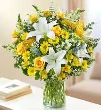 Florist Choice Yellow &amp; White Sympathy Arrangement - A graceful florist-choice sympathy arrangement featuring a beautiful selection of fresh seasonal flowers in yellow and white tones, thoughtfully chosen by our florists for quality and design. Accented with fresh greenery, this arrangement creates a warm and elegant display to honor a loved one