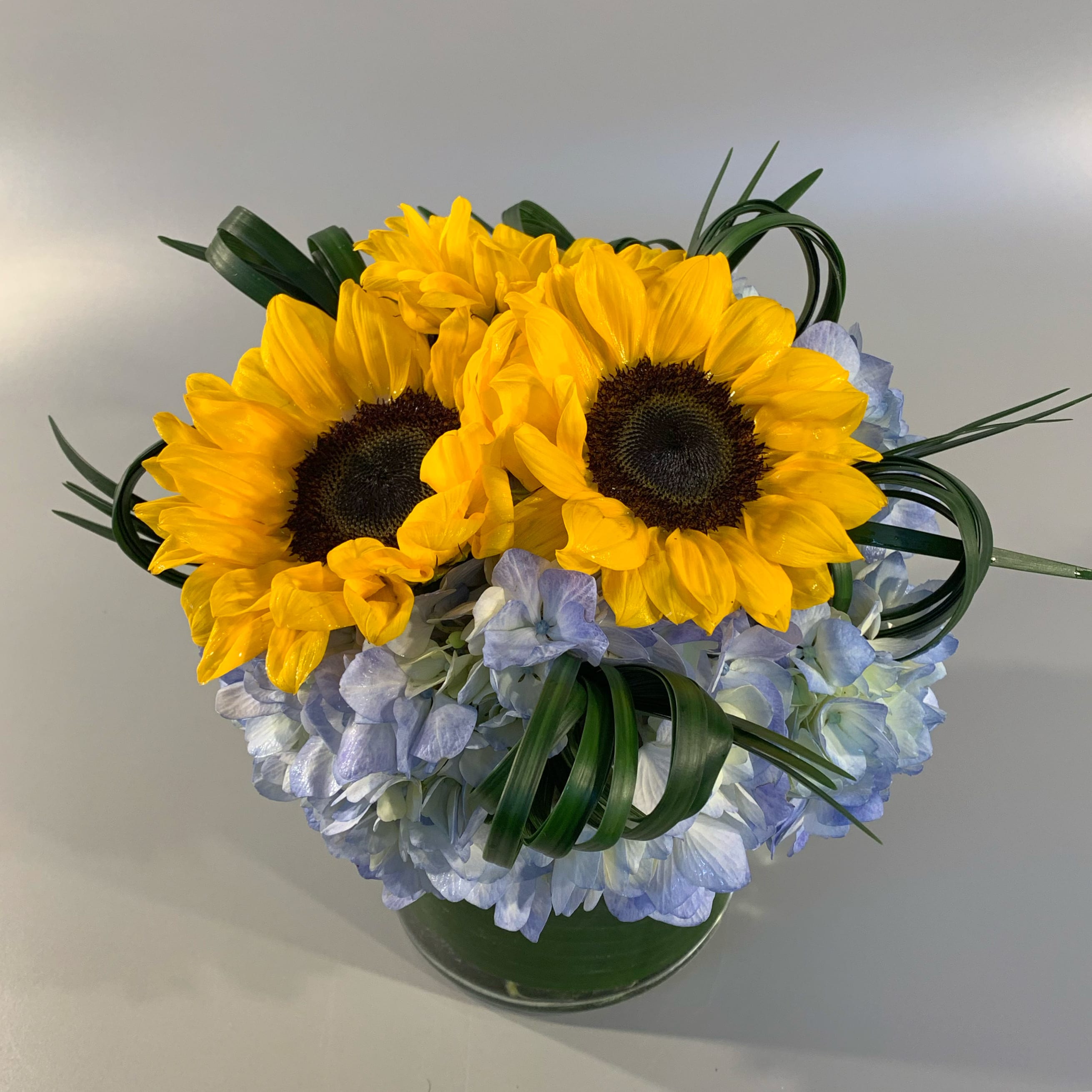 HAMPTONS - A soft and textural style designed with fresh blue hydrangea, sunflower blossoms, sculpted grasses, and petite tufts of green hydrangea. Placed in a leaf-lined glass vessel. 