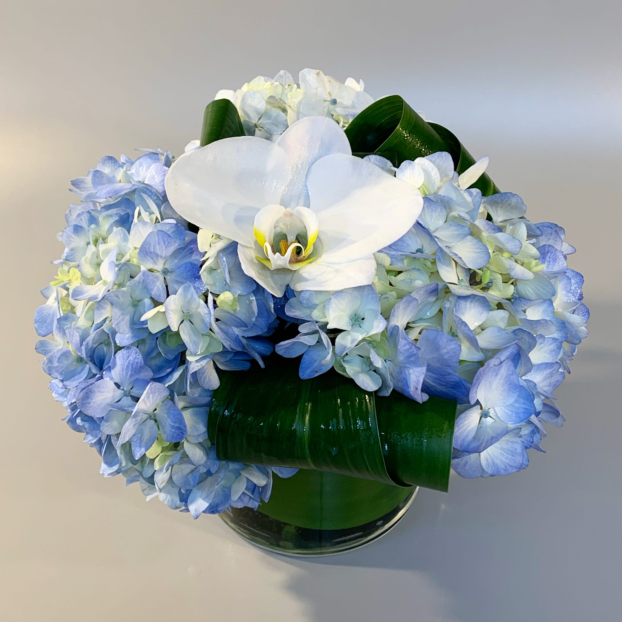 NANTUCKET - An elegant, summer in Nantucket inspired bouquet designed with fresh deep blue hydrangea, sculpted greenery, and a white orchid blossom. Placed in a glass leaf lined vessel.  