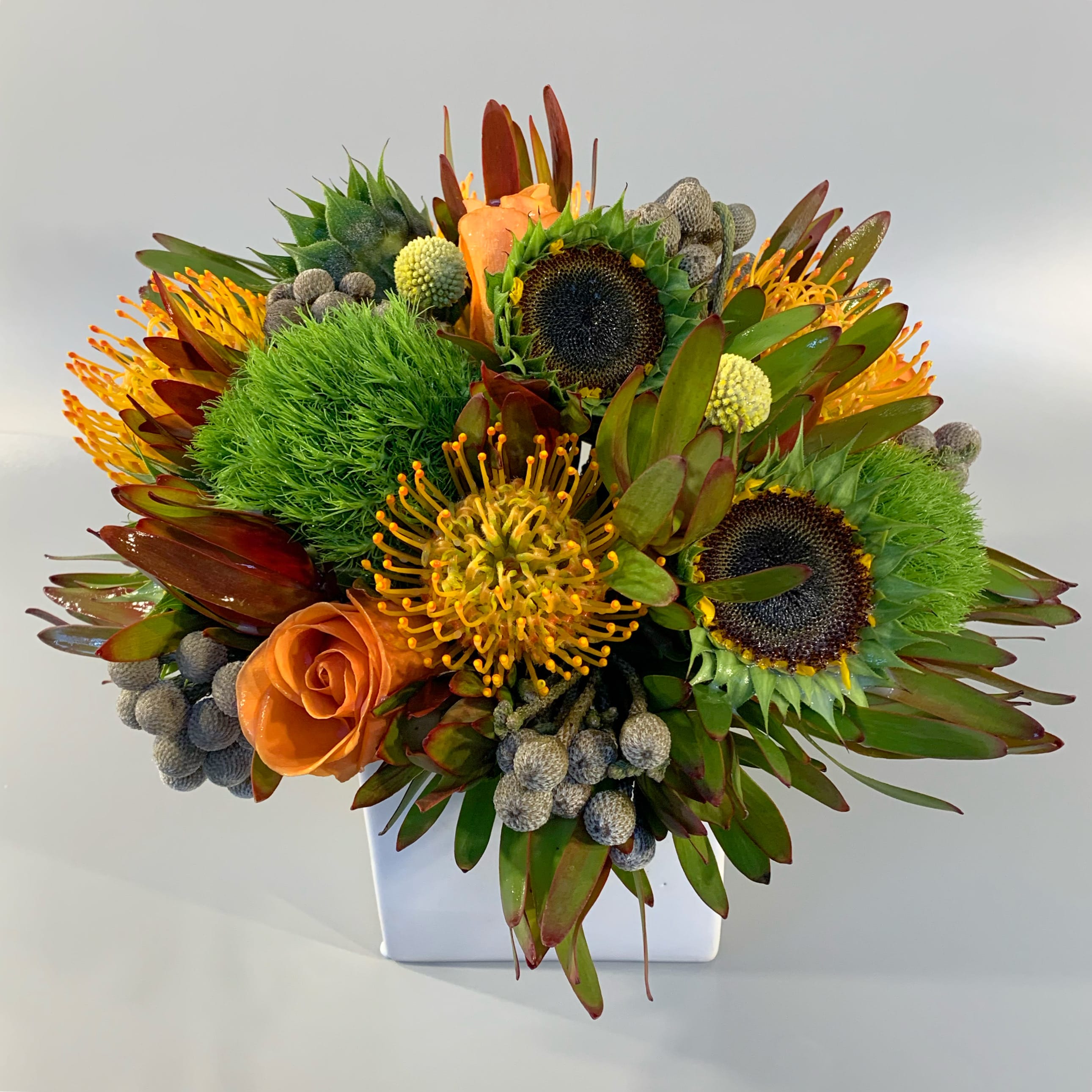 SAFARI - A textural and colorful mix of rustic blooms of various varieties of protea and foliages designed in a 5" white ceramic cube. 