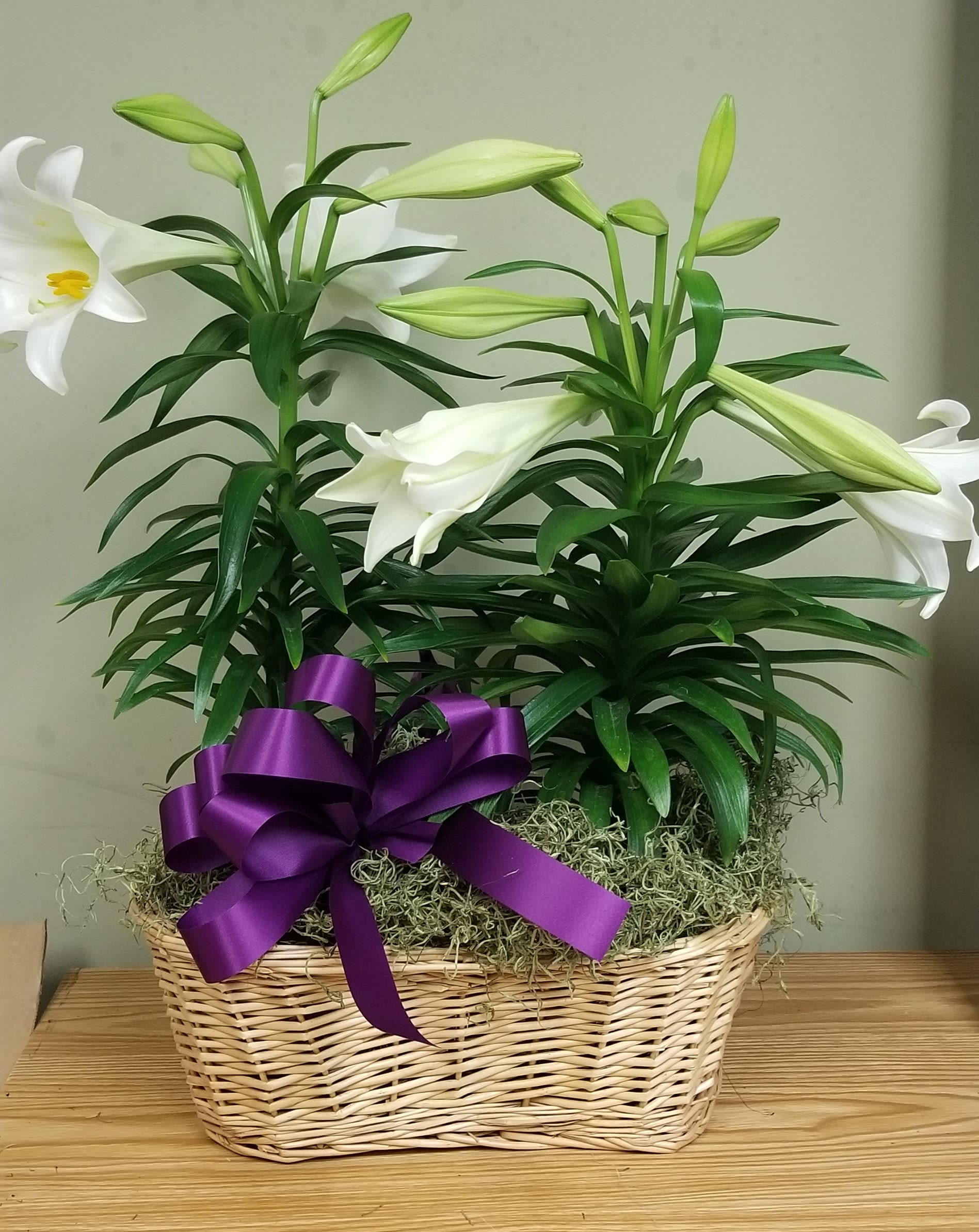 Double Easter Lily in Basket - Looking to send something special to a family member for Easter? Send a beautiful, live Easter Lily plant that can be enjoyed for weeks!