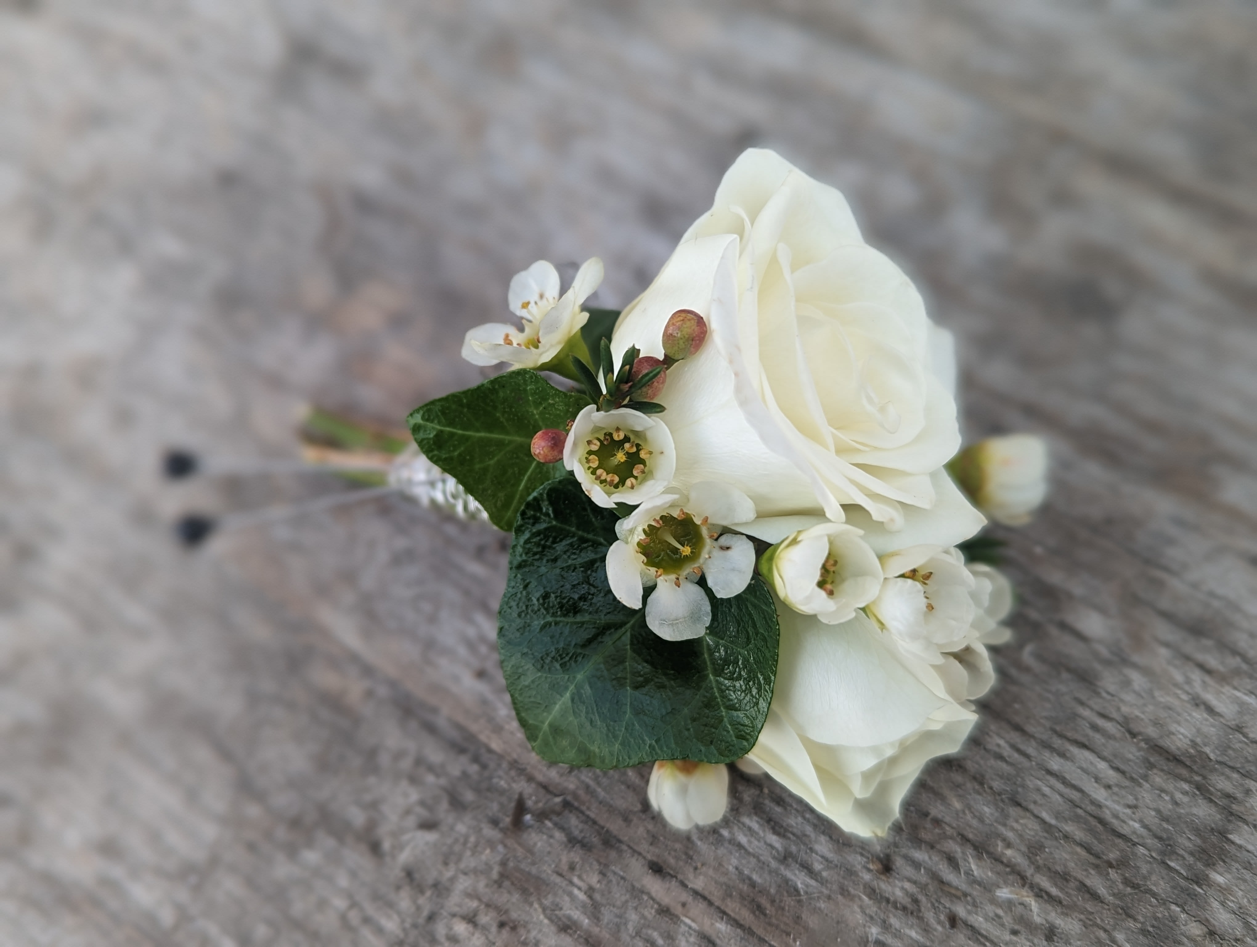 Traditional White Boutonniere - Shown as Standard White spray roses come with accenting white waxflower and silver wire. *Pick up only* *We custom design this arrangement and use the freshest flowers available the day of delivery. The arrangement in this picture is an example of the size and style and may not feature the exact product shown.*