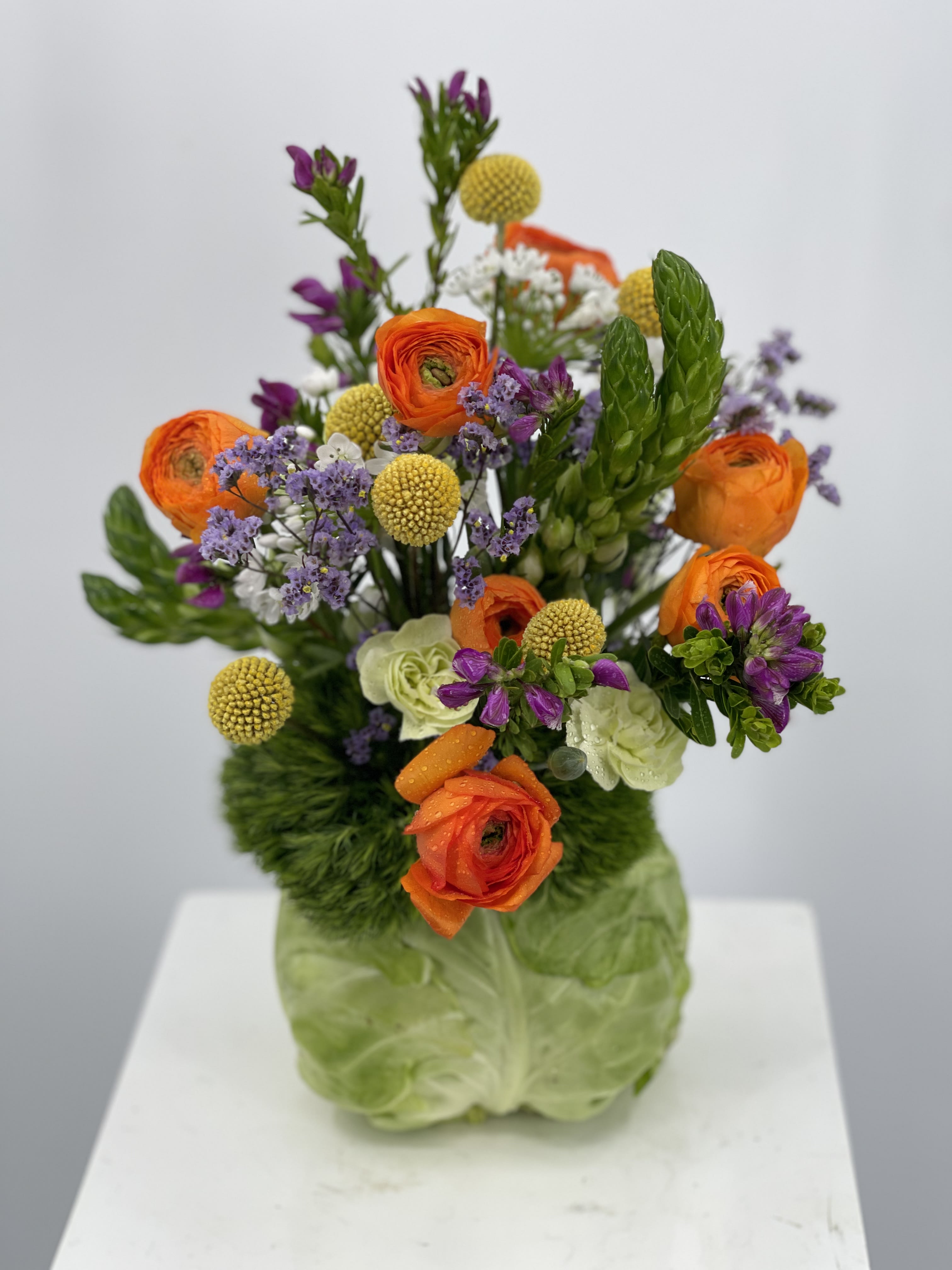 Bobby - Vibrant spring arrangement nestled in a living vessel. Perfect for any and all occasions this coming spring. Featuring ranunculus flowers paired with seasonal florals to bring the creation to life.